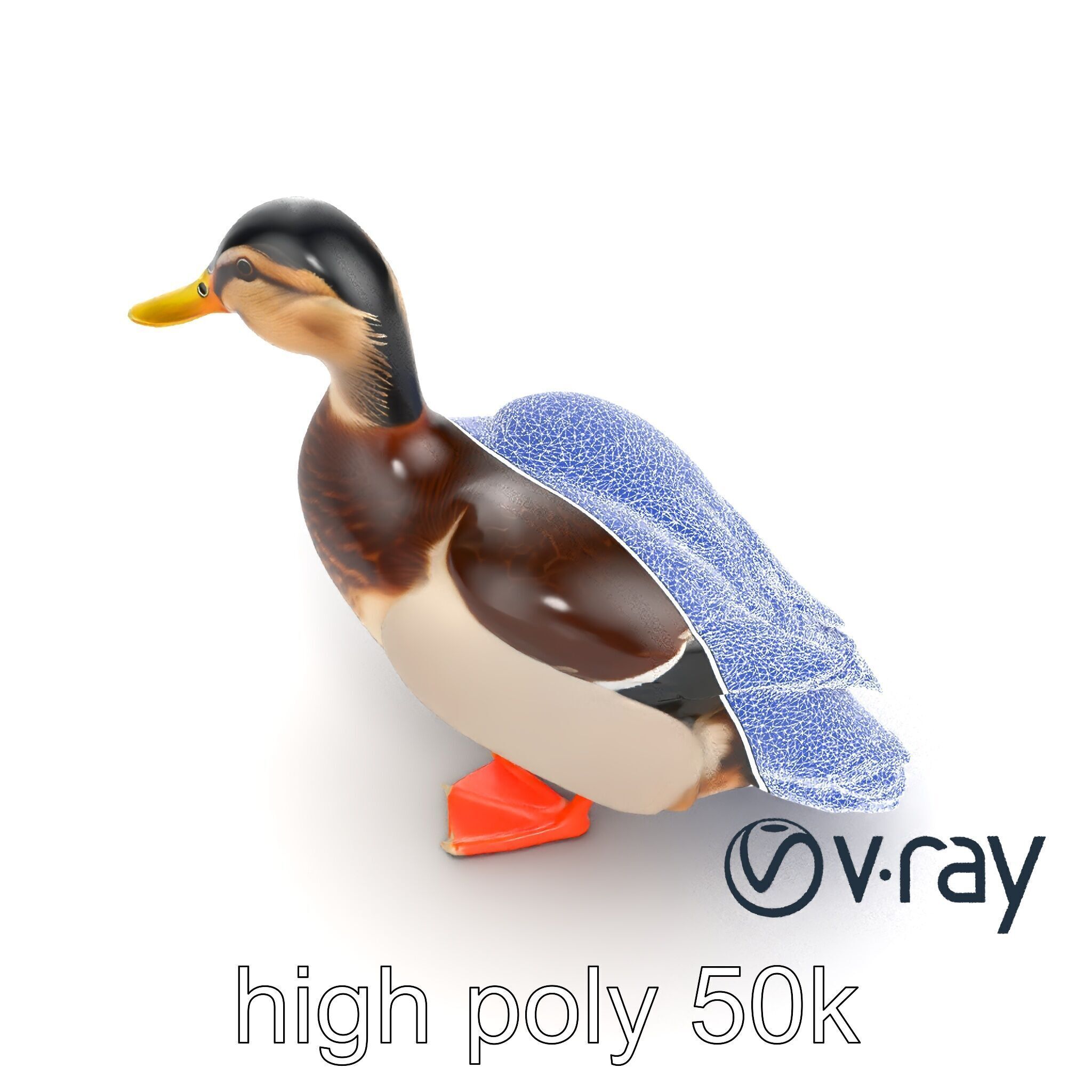 Mallard Duck Wildlife Sculpture model pack Low-poly 3D model_26