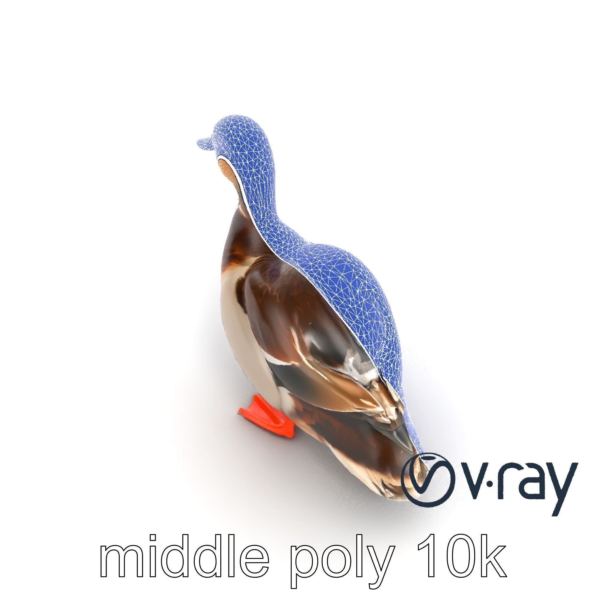 Mallard Duck Wildlife Sculpture model pack Low-poly 3D model_30