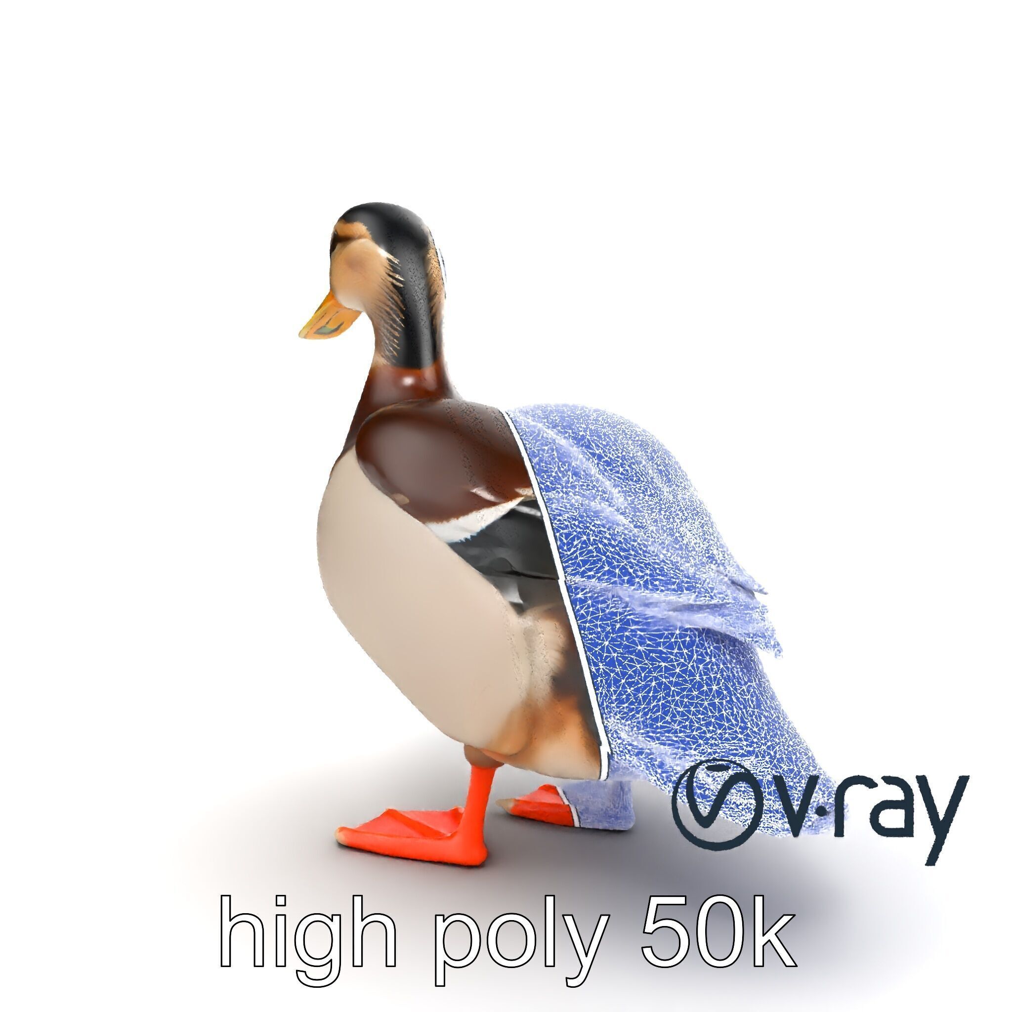 Mallard Duck Wildlife Sculpture model pack Low-poly 3D model_28