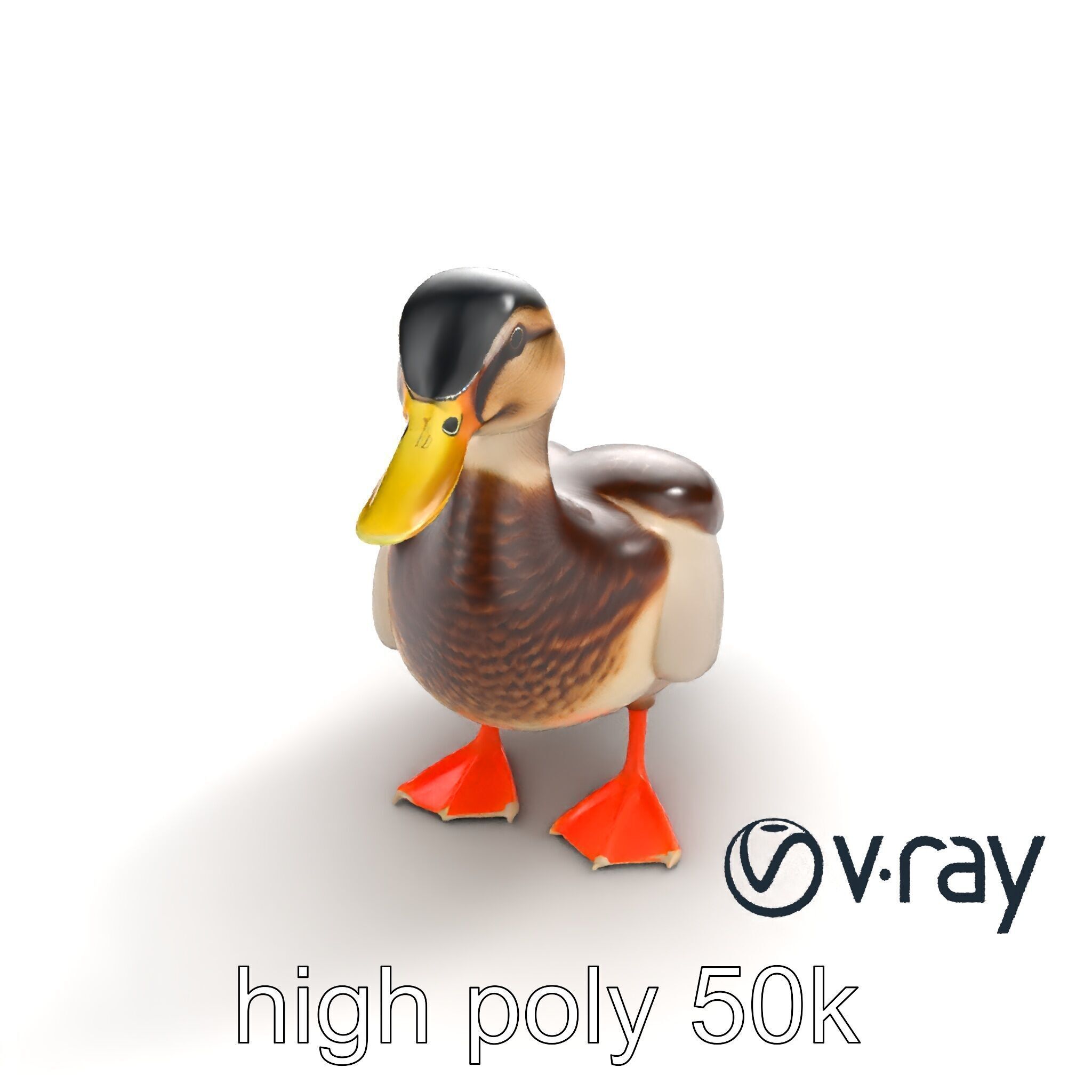 Mallard Duck Wildlife Sculpture model pack Low-poly 3D model_9