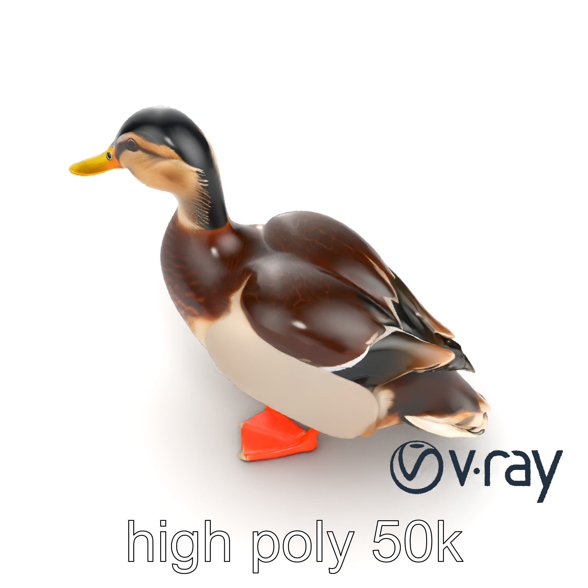 Mallard Duck Wildlife Sculpture model pack Low-poly 3D model_10