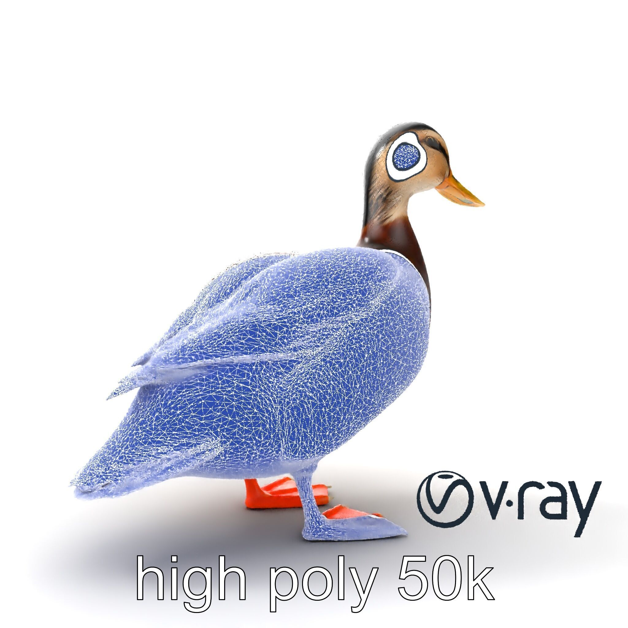 Mallard Duck Wildlife Sculpture model pack Low-poly 3D model_19