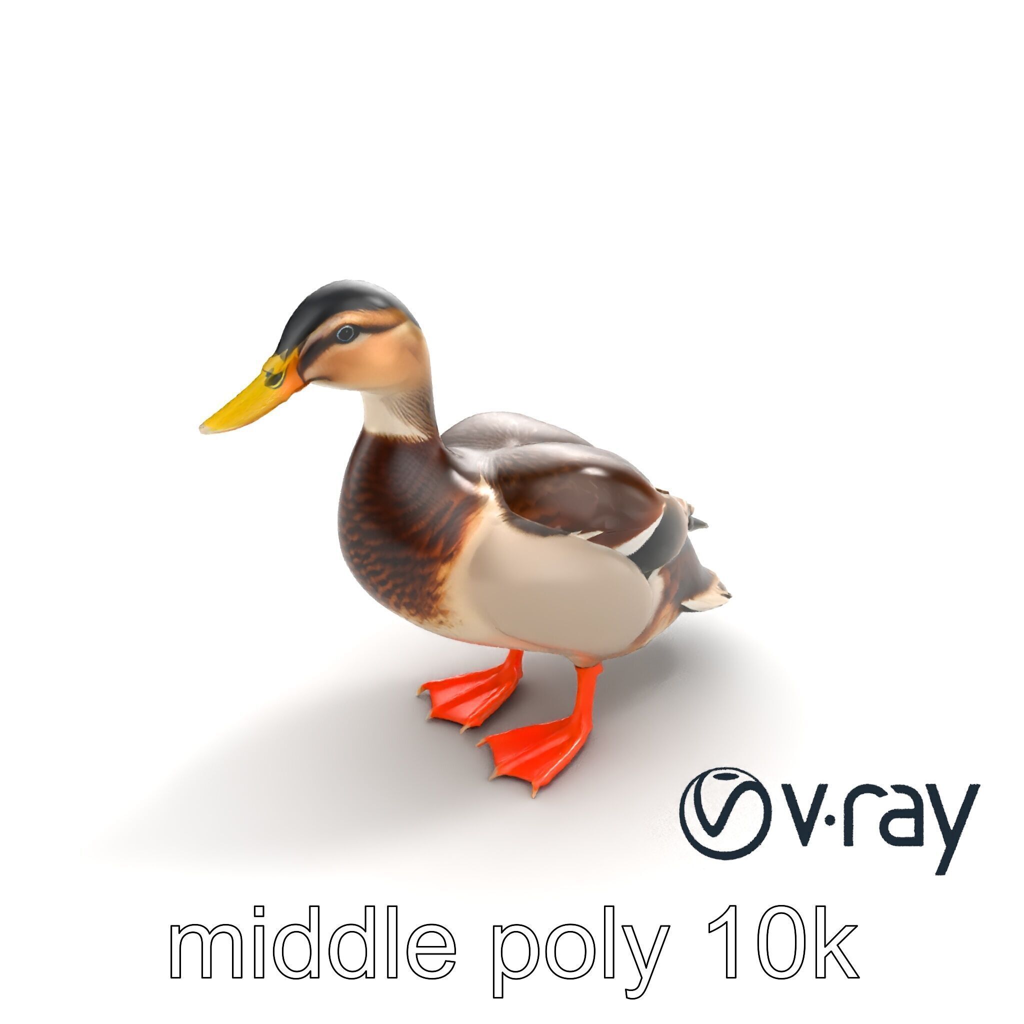 Mallard Duck Wildlife Sculpture model pack Low-poly 3D model_7