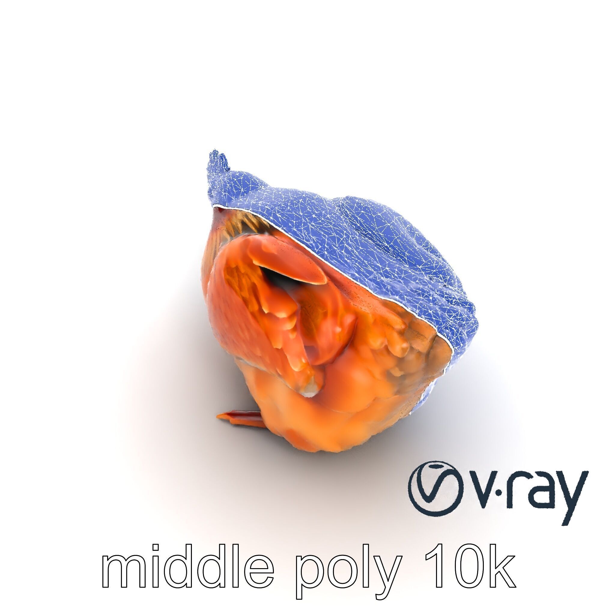 Detailed Chicken with Red Comb model pack Low-poly 3D model_15