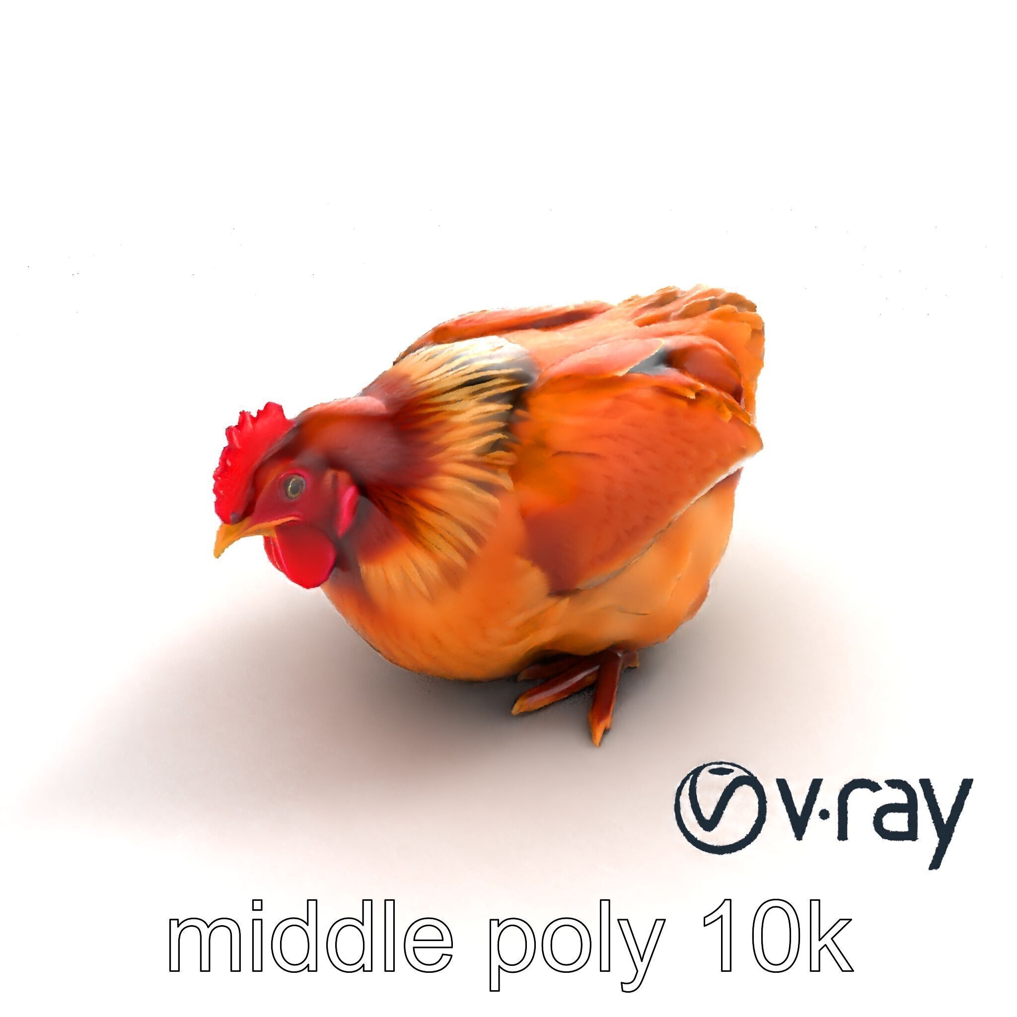 Detailed Chicken with Red Comb model pack Low-poly 3D model_7