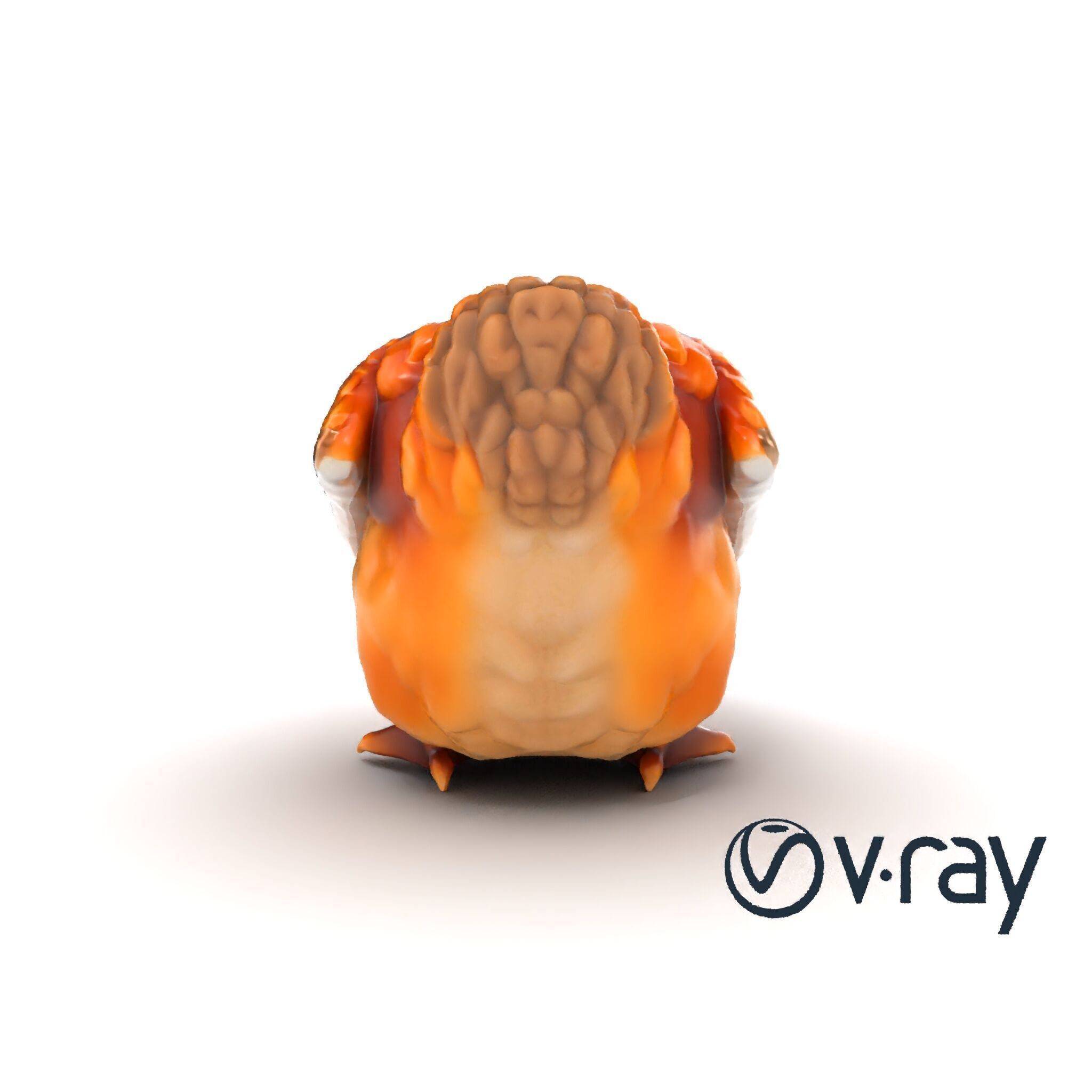 Detailed Chicken with Red Comb model pack Low-poly 3D model_18