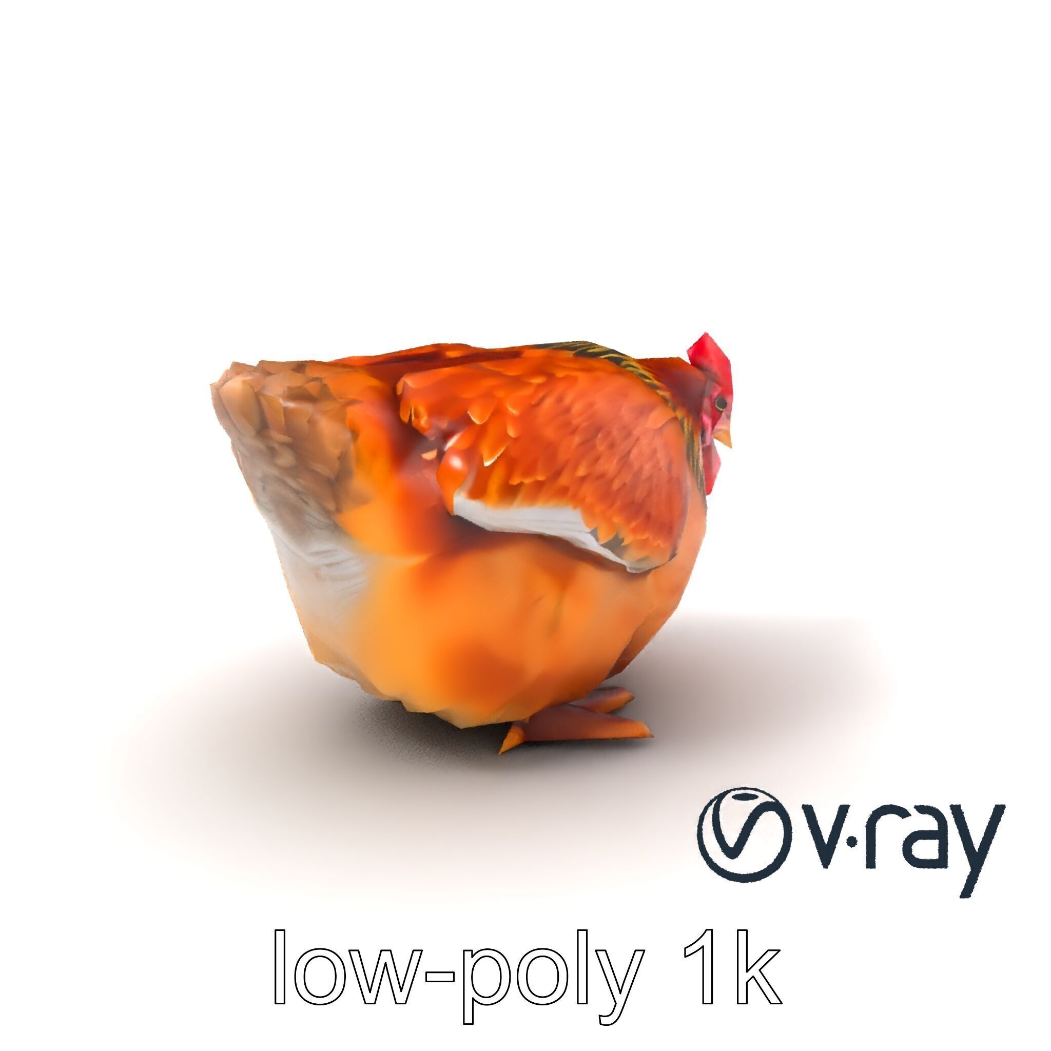 Detailed Chicken with Red Comb model pack Low-poly 3D model_2
