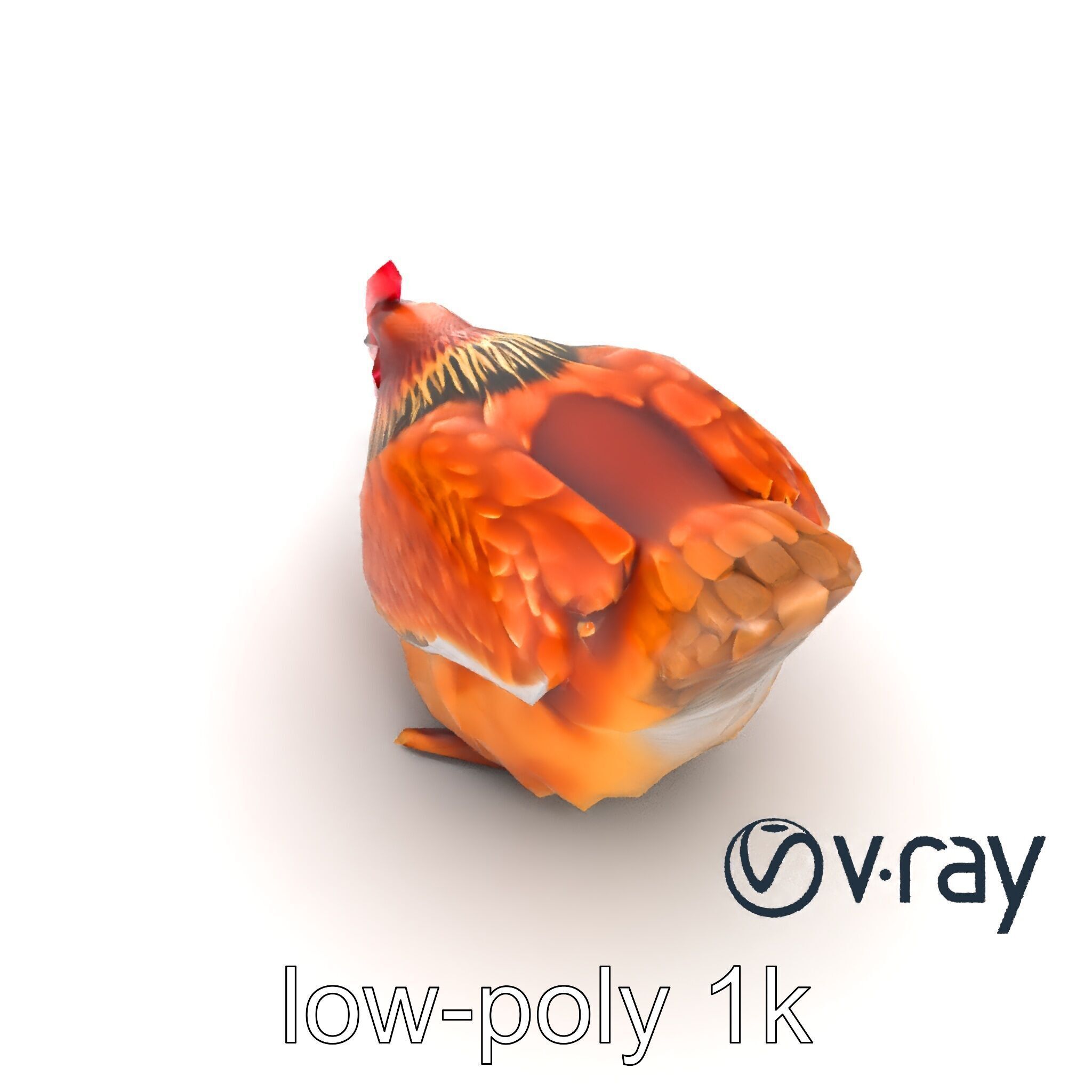 Detailed Chicken with Red Comb model pack Low-poly 3D model_8