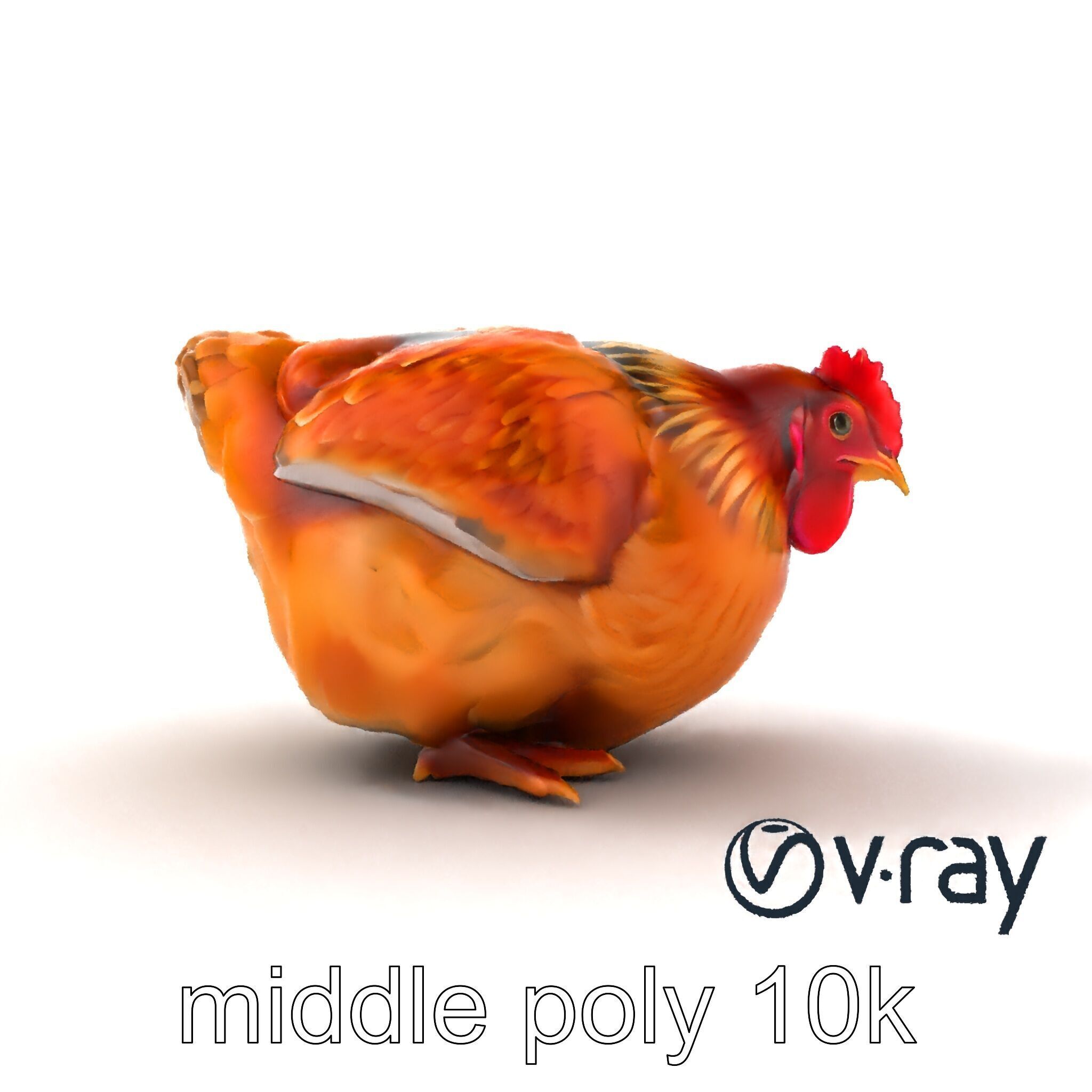 Detailed Chicken with Red Comb model pack Low-poly 3D model_16