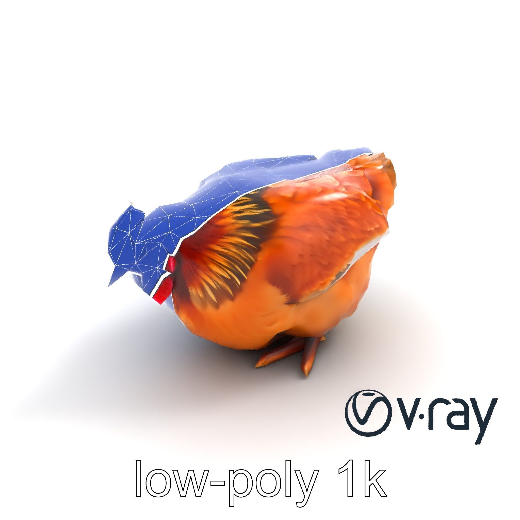 Detailed Chicken with Red Comb model pack Low-poly 3D model_21