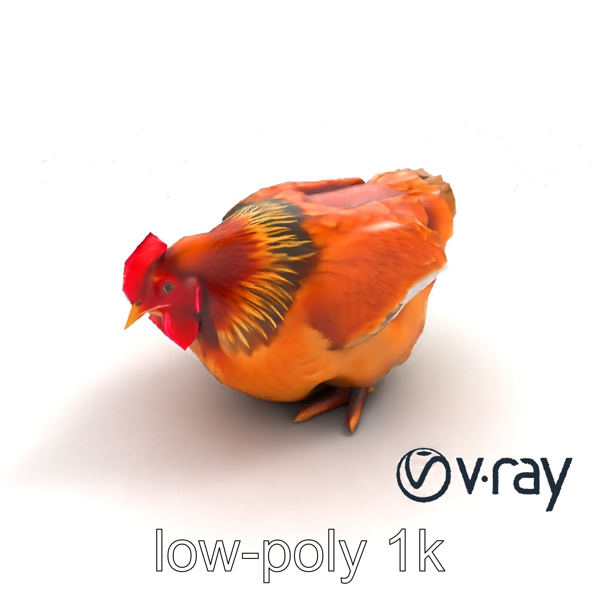 Detailed Chicken with Red Comb model pack Low-poly 3D model_5