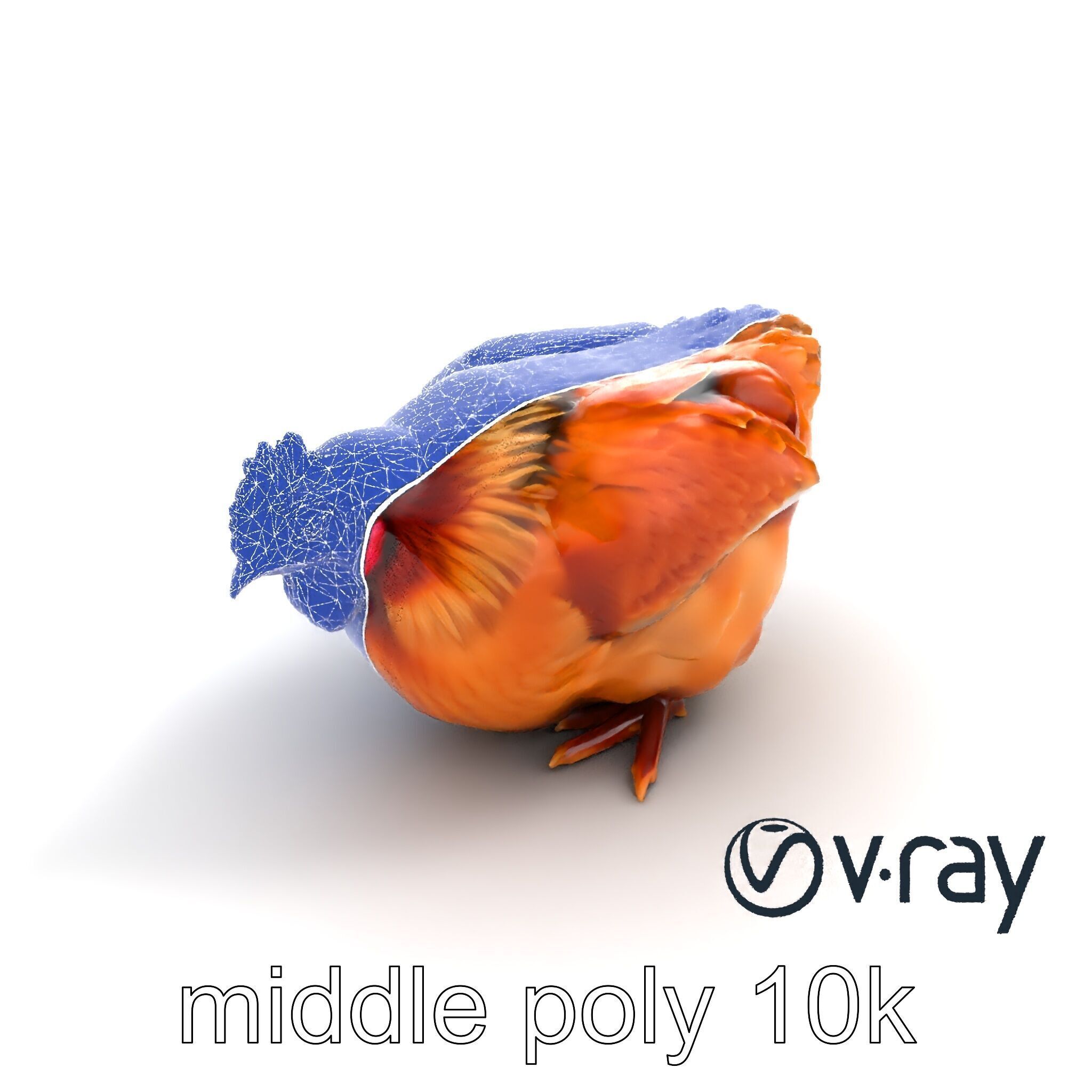Detailed Chicken with Red Comb model pack Low-poly 3D model_10
