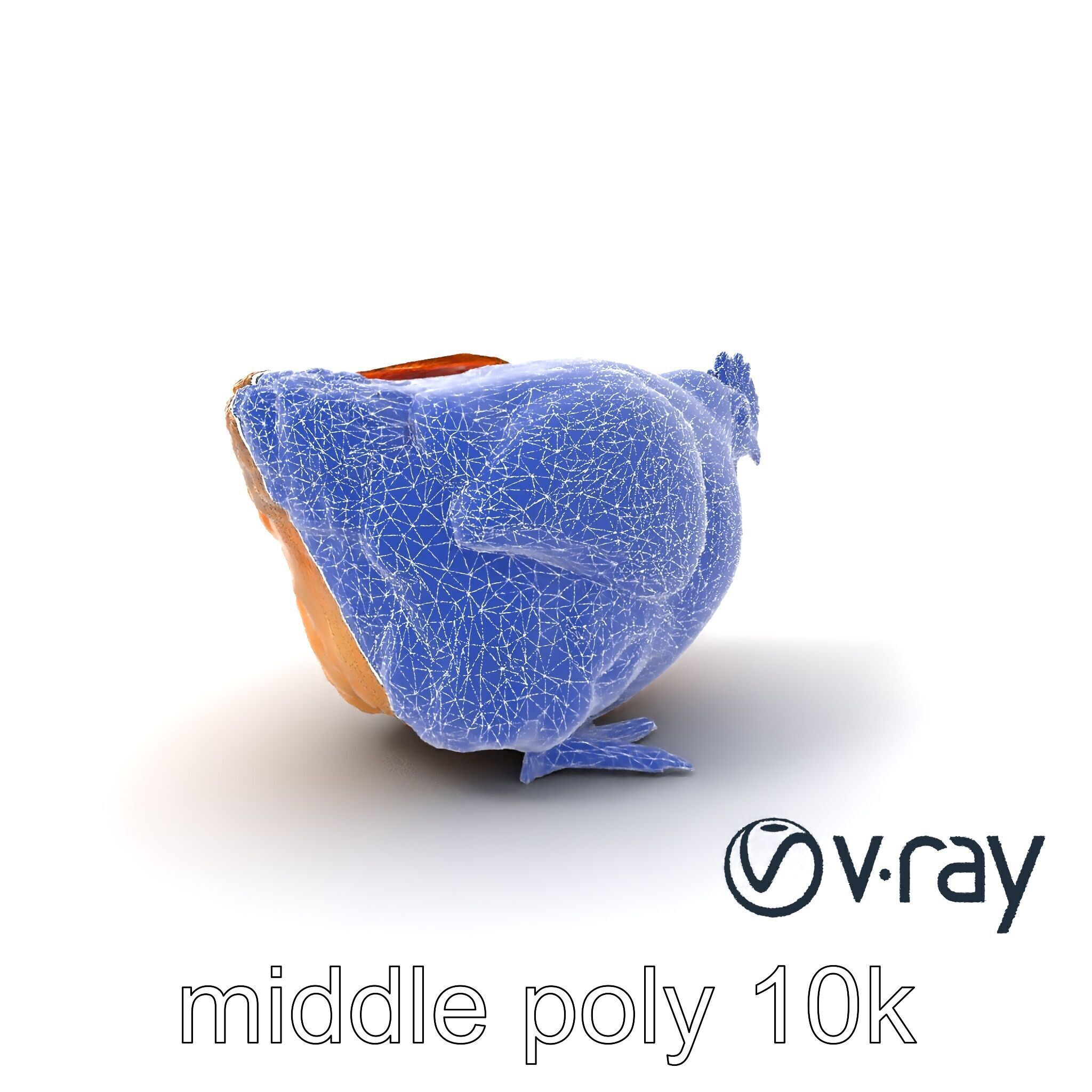 Detailed Chicken with Red Comb model pack Low-poly 3D model_4