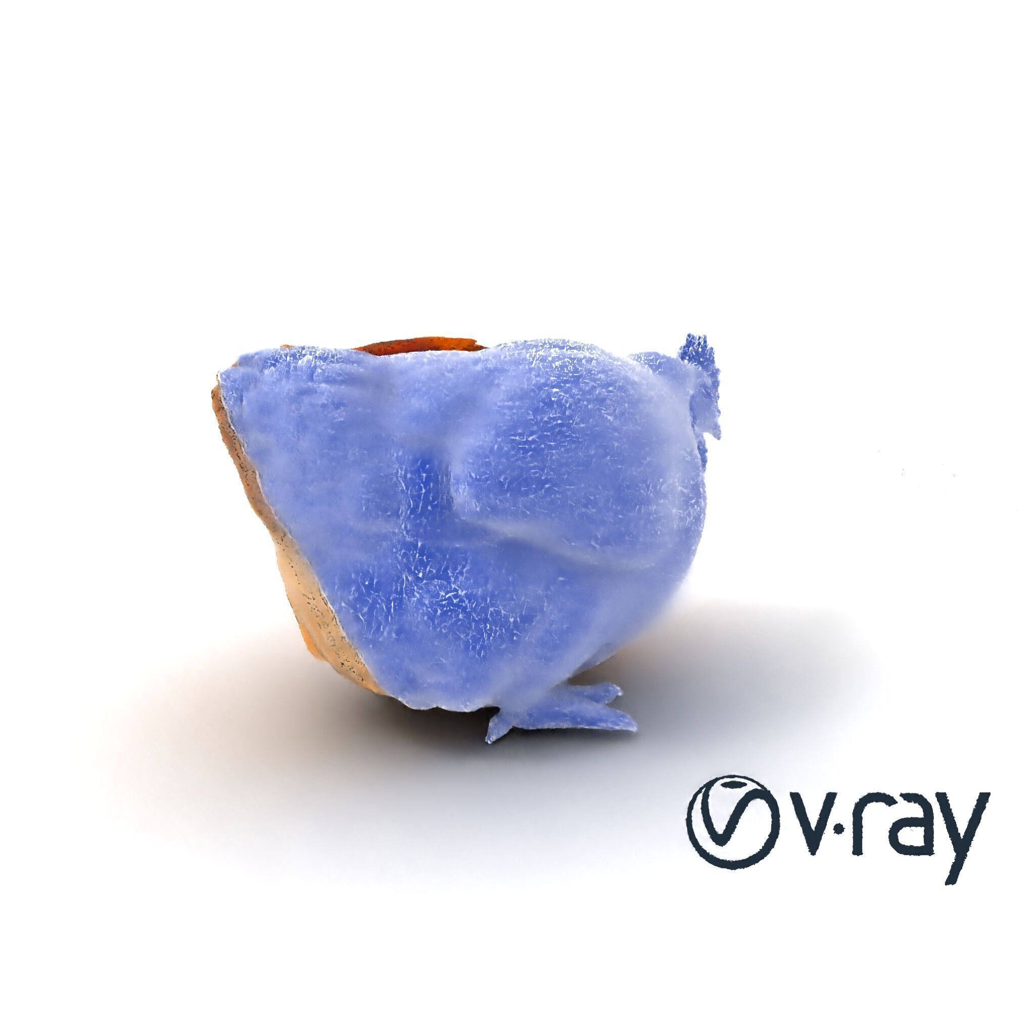 Detailed Chicken with Red Comb model pack Low-poly 3D model_25