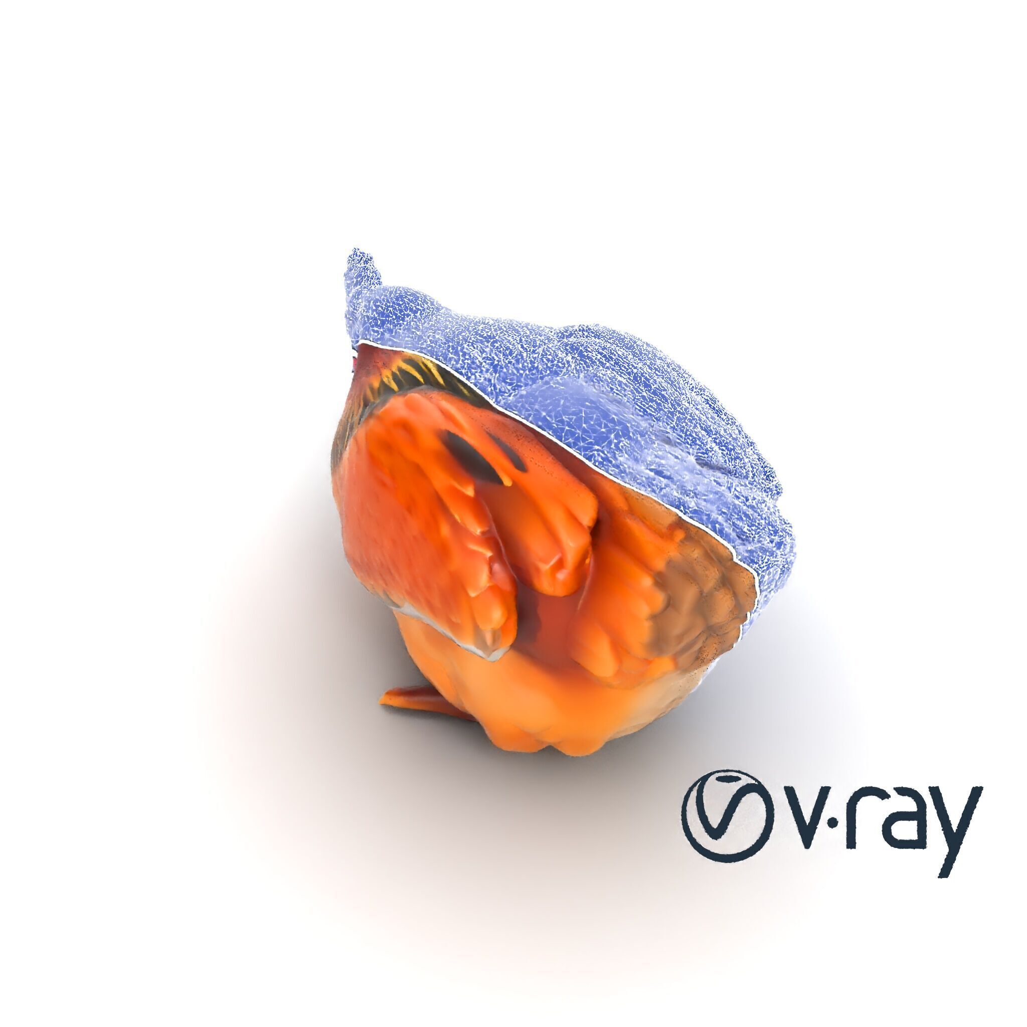 Detailed Chicken with Red Comb model pack Low-poly 3D model_20