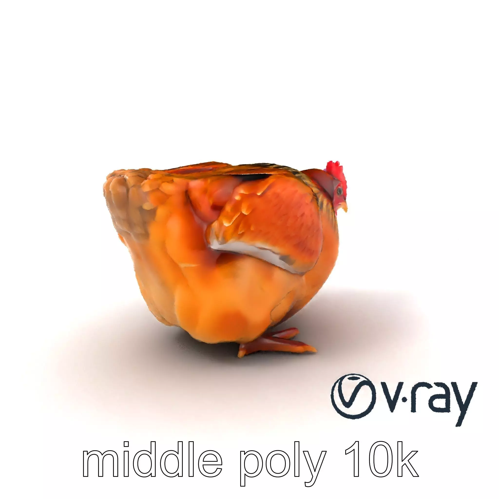 Detailed Chicken with Red Comb model pack Low-poly 3D model_0