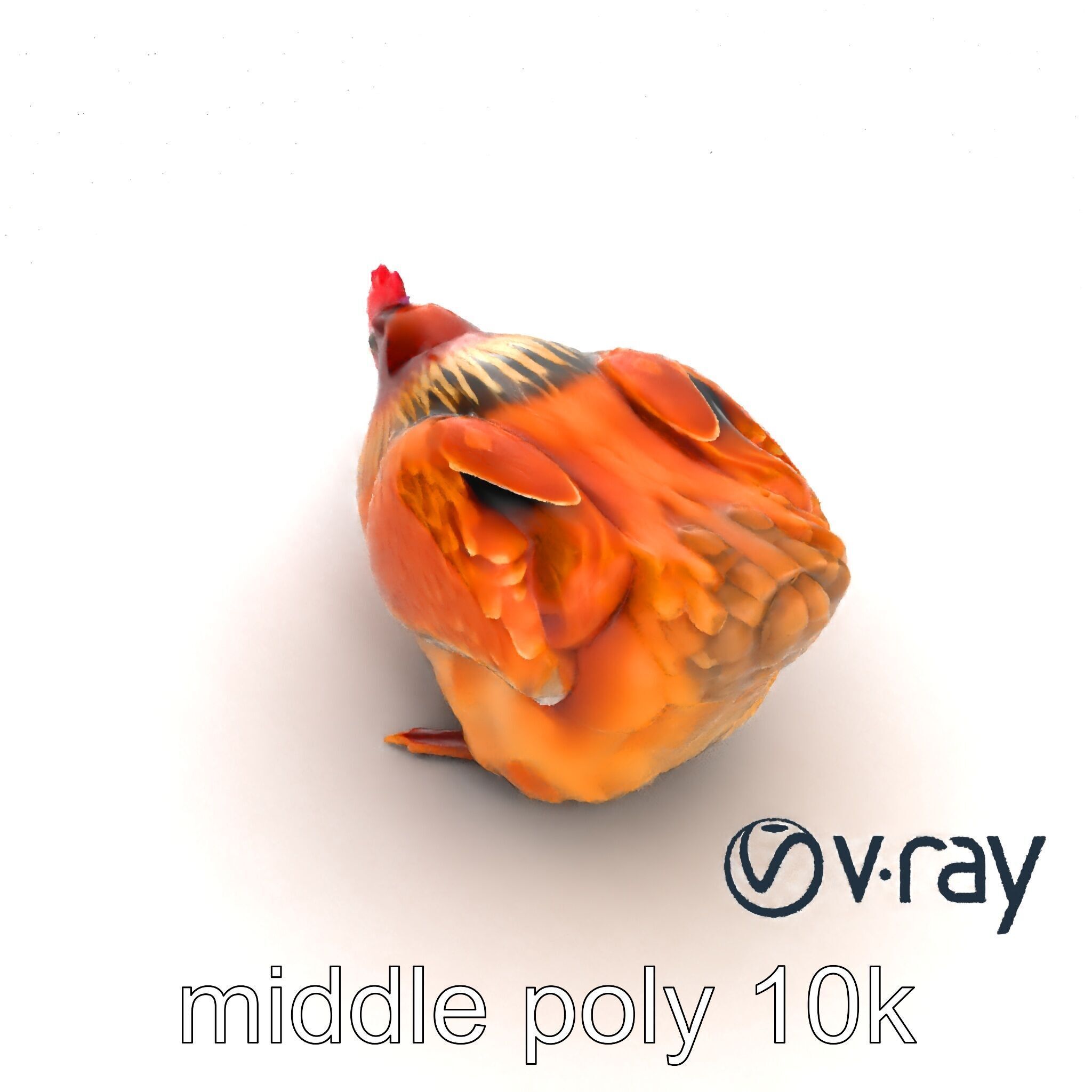 Detailed Chicken with Red Comb model pack Low-poly 3D model_13