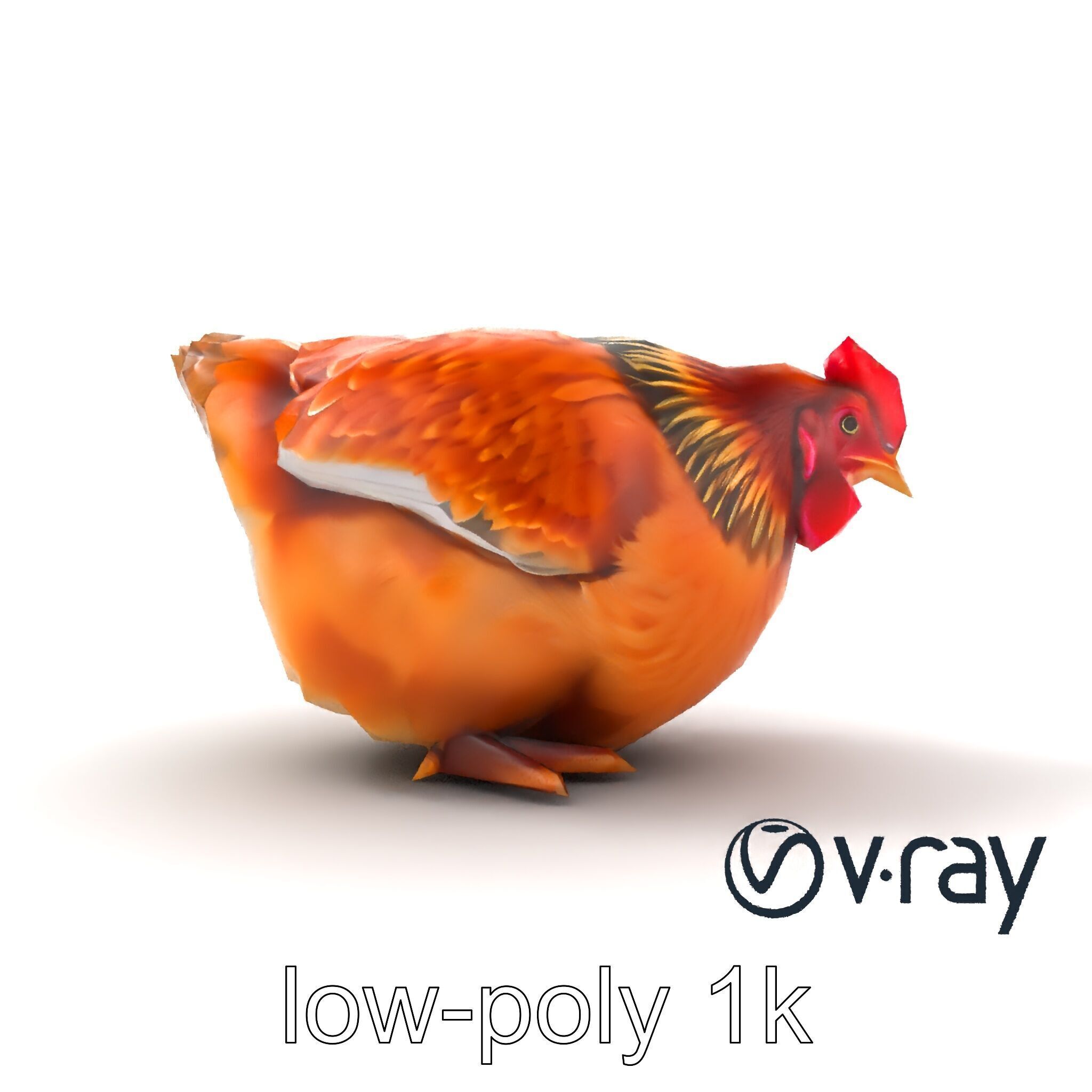 Detailed Chicken with Red Comb model pack Low-poly 3D model_22