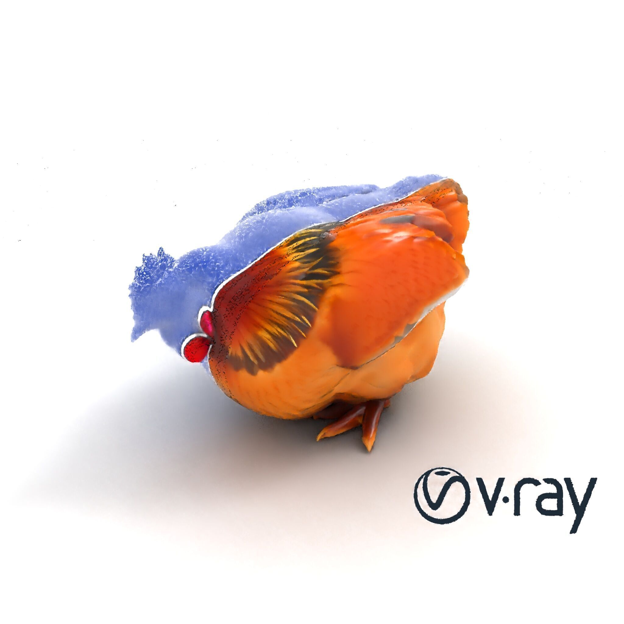 Detailed Chicken with Red Comb model pack Low-poly 3D model_19