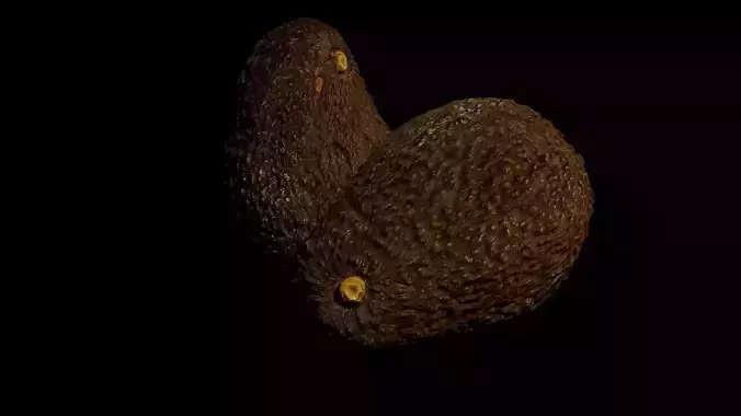 Realistic Scanned Avocado - OBJ -MTL 3D model