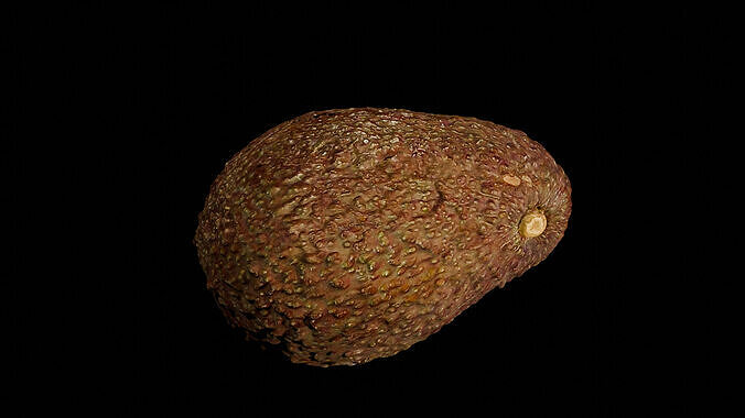 Realistic Scanned Avocado - OBJ -MTL 3D model 4