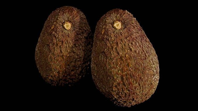 Realistic Scanned Avocado - OBJ -MTL 3D model 5