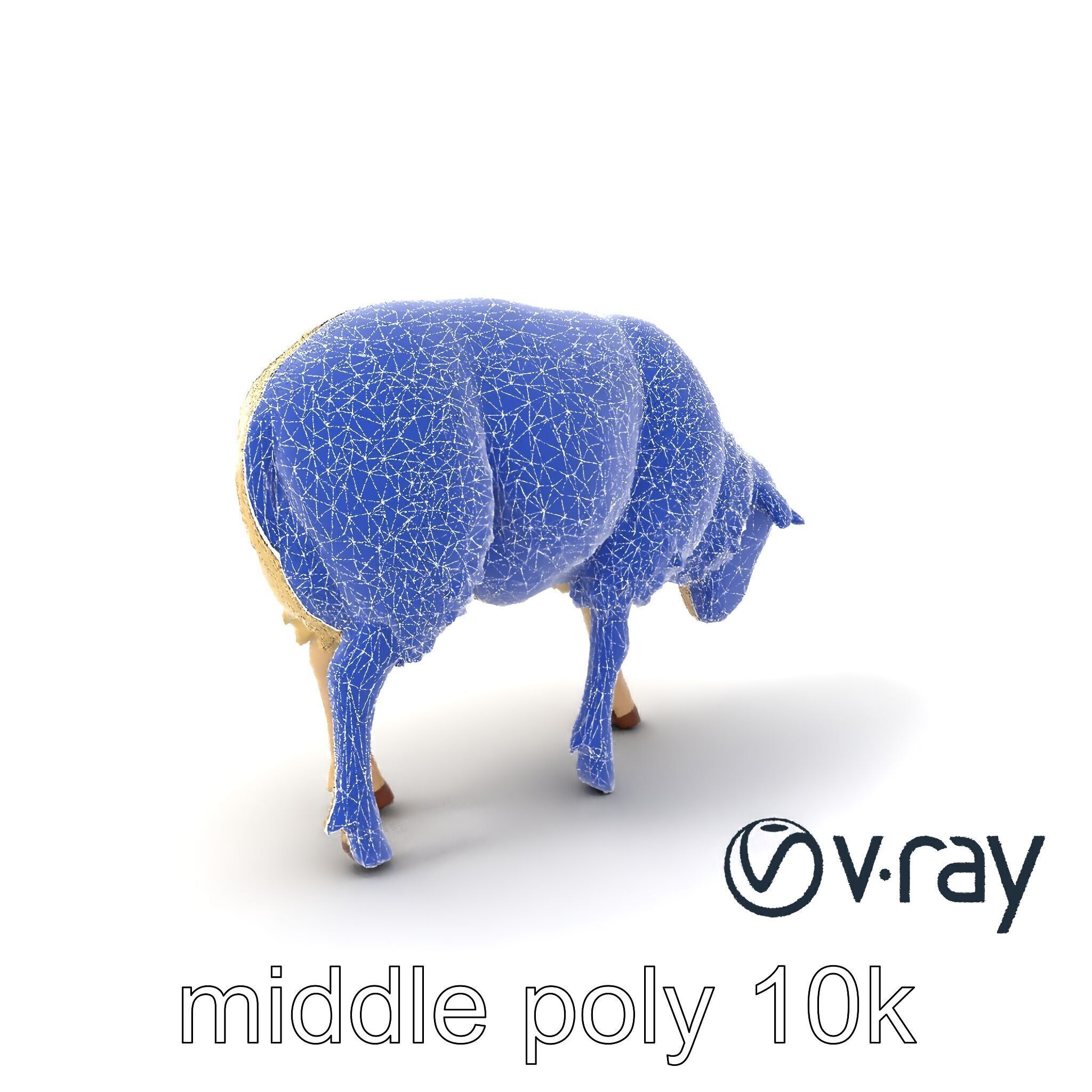 Pastoral Sheep Fluffy Grazing Stance model pack Low-poly 3D model_35