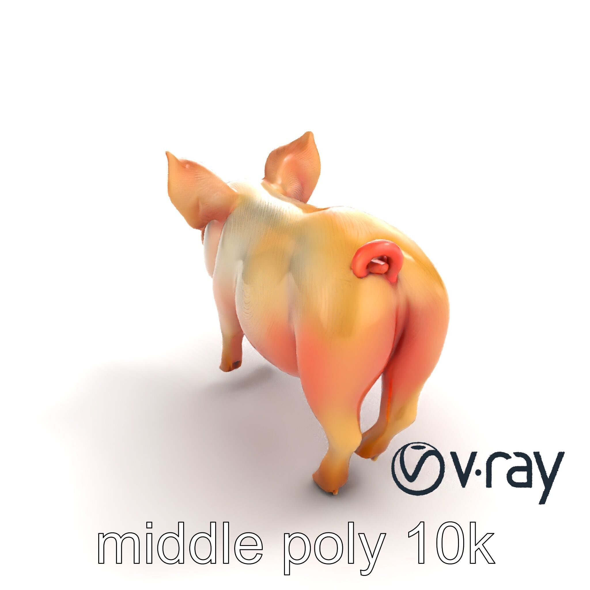 Pastoral Sheep Fluffy Grazing Stance model pack Low-poly 3D model_4