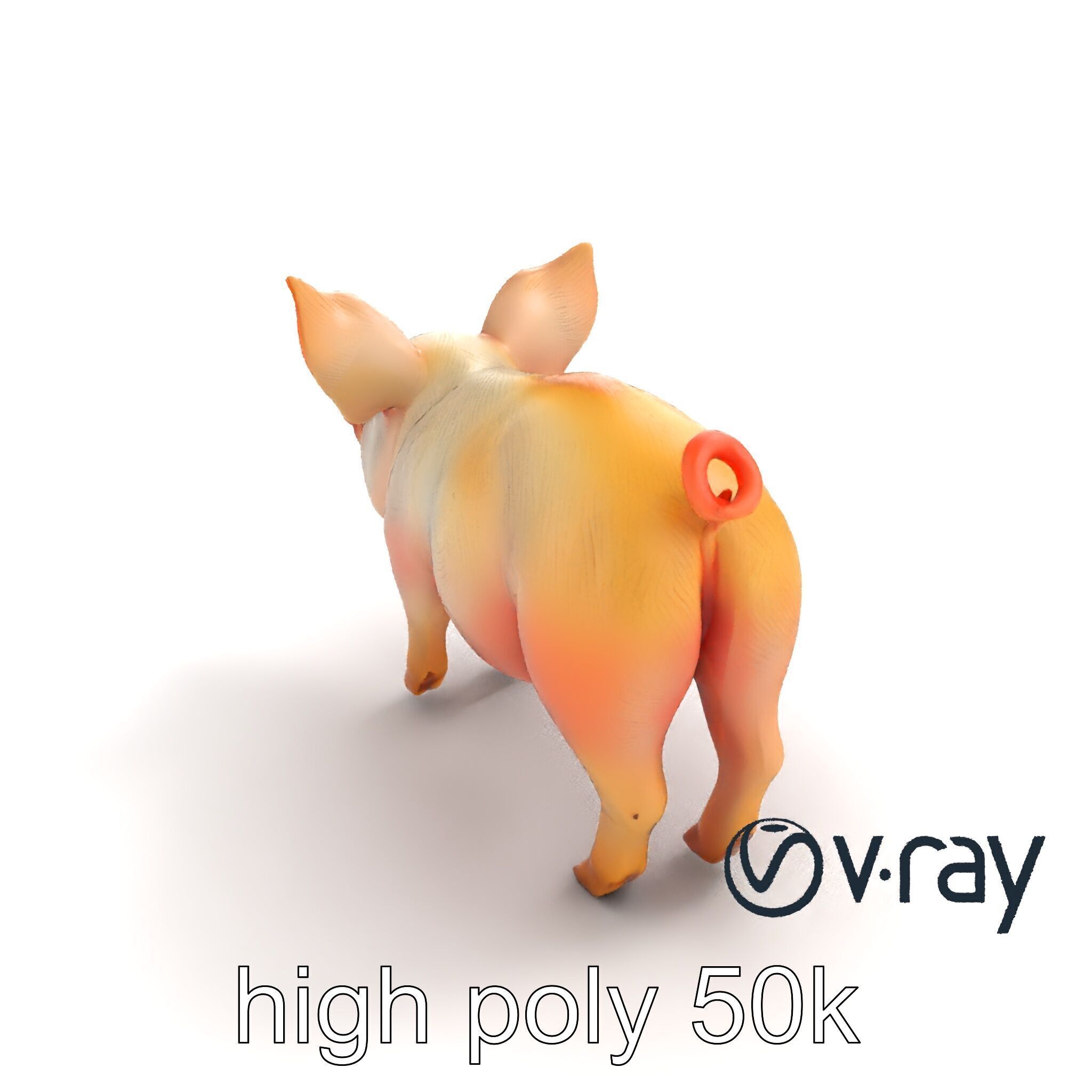 Pastoral Sheep Fluffy Grazing Stance model pack Low-poly 3D model_9