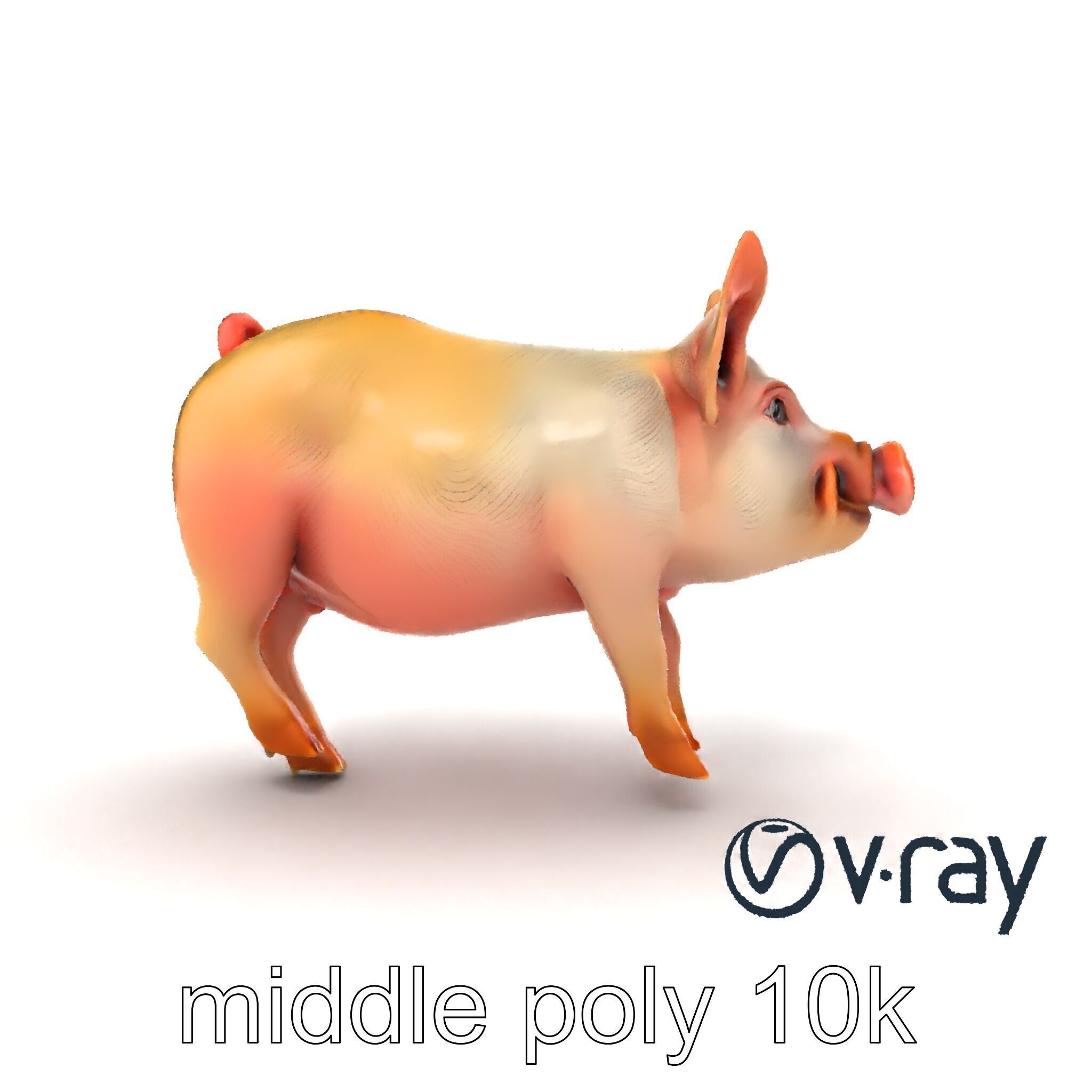 Pastoral Sheep Fluffy Grazing Stance model pack Low-poly 3D model_16