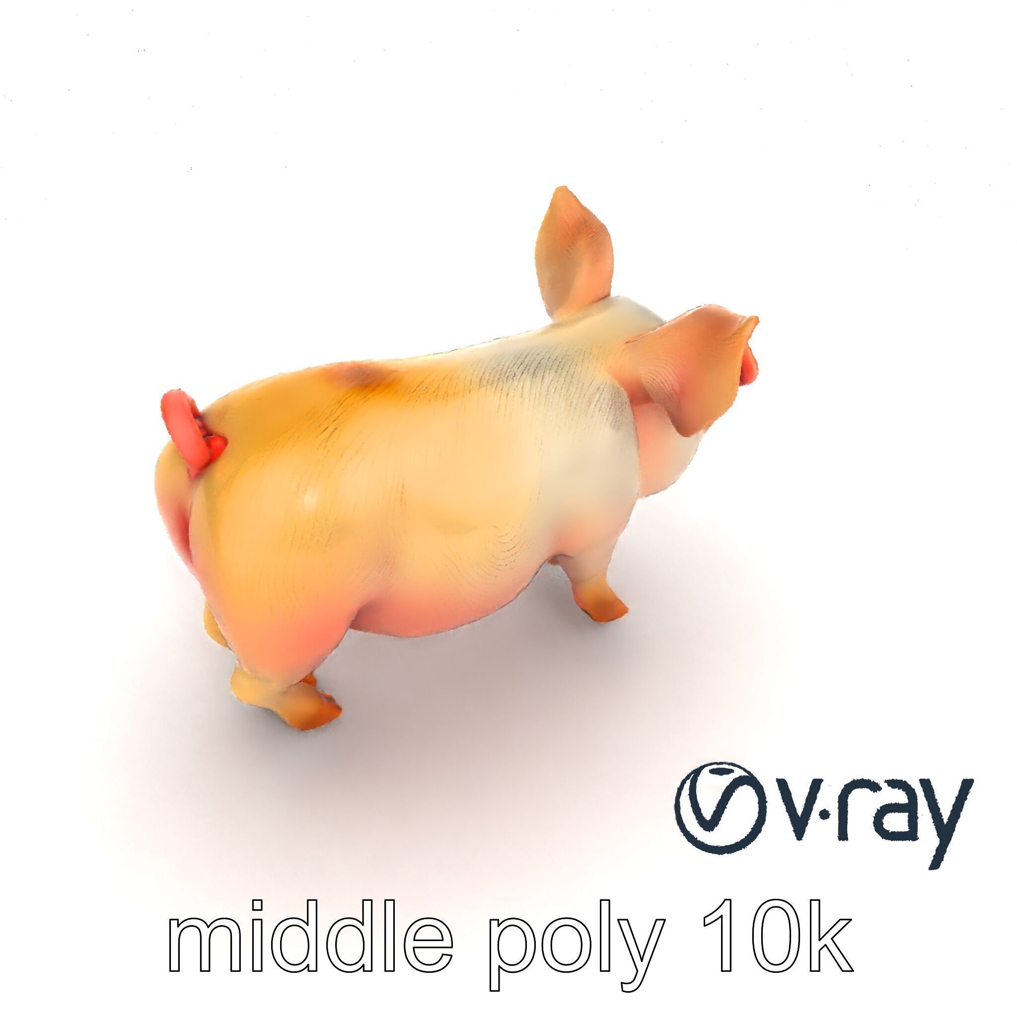 Pastoral Sheep Fluffy Grazing Stance model pack Low-poly 3D model_7