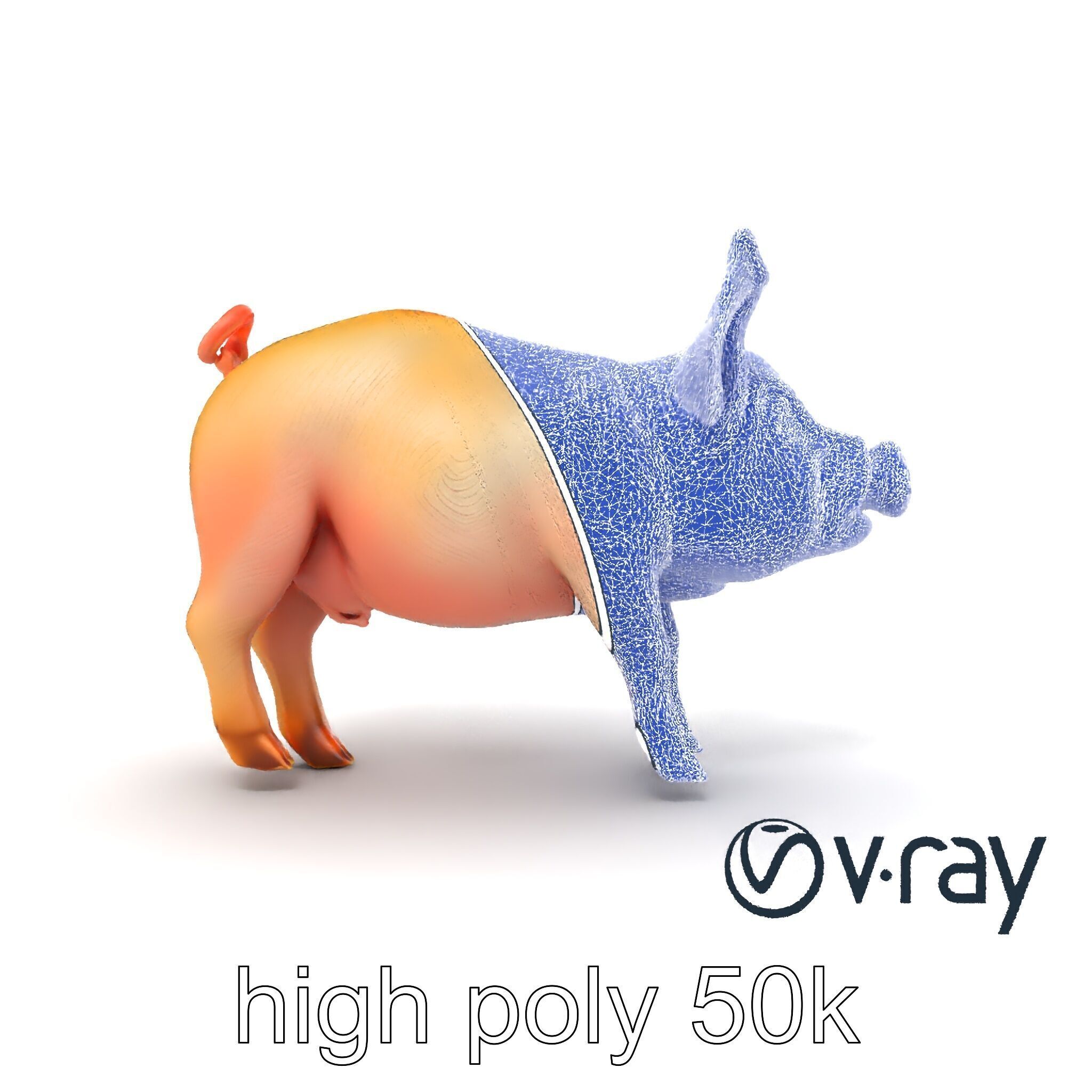 Pastoral Sheep Fluffy Grazing Stance model pack Low-poly 3D model_28