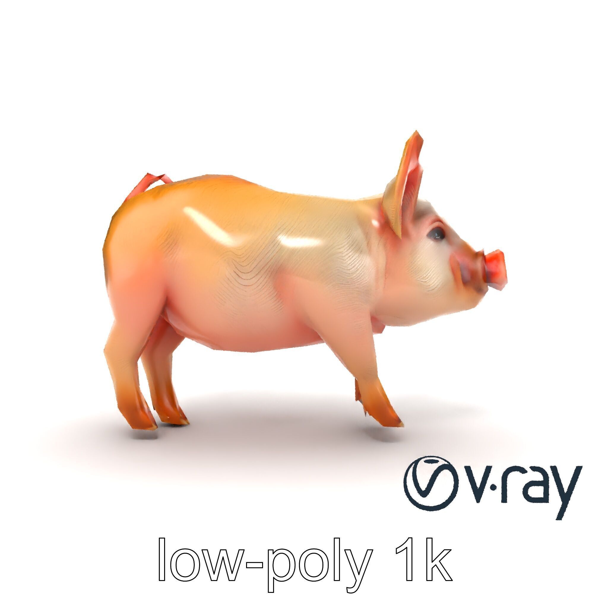 Pastoral Sheep Fluffy Grazing Stance model pack Low-poly 3D model_19