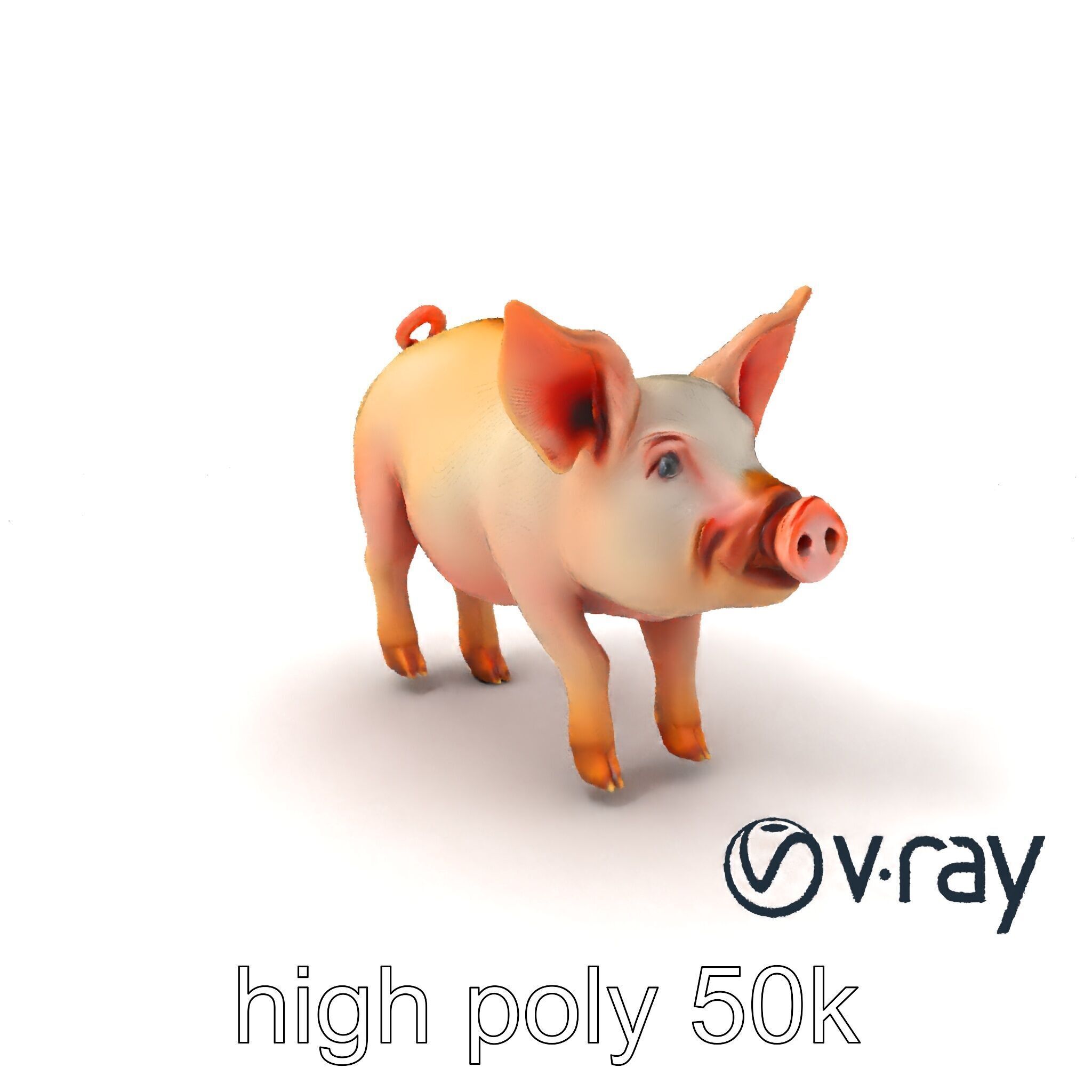 Pastoral Sheep Fluffy Grazing Stance model pack Low-poly 3D model_6