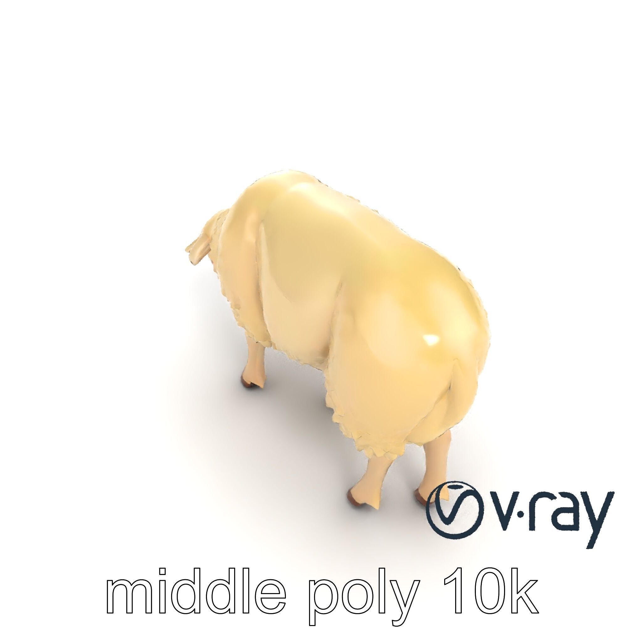 Pastoral Sheep Fluffy Grazing Stance model pack Low-poly 3D model_46