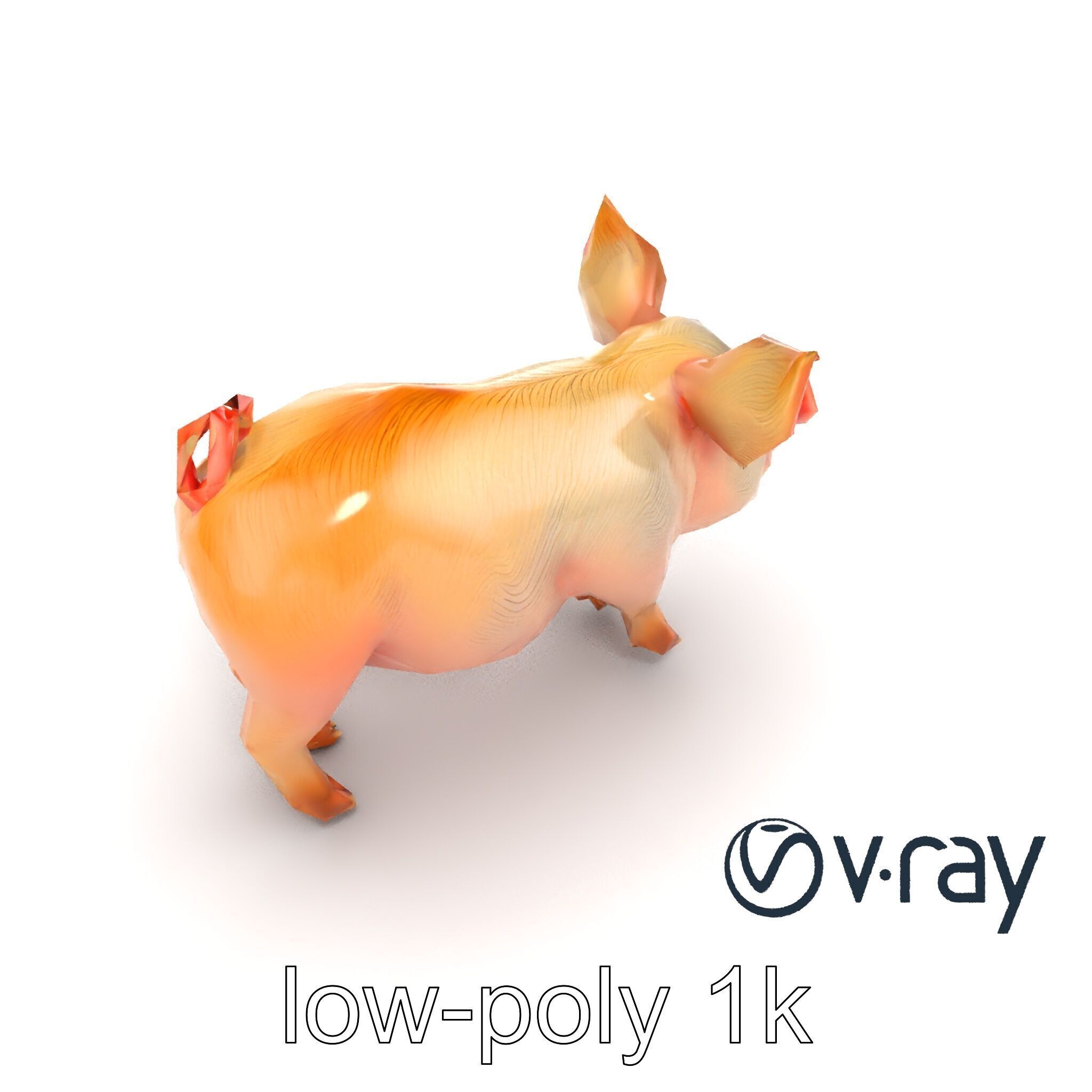 Pastoral Sheep Fluffy Grazing Stance model pack Low-poly 3D model_8