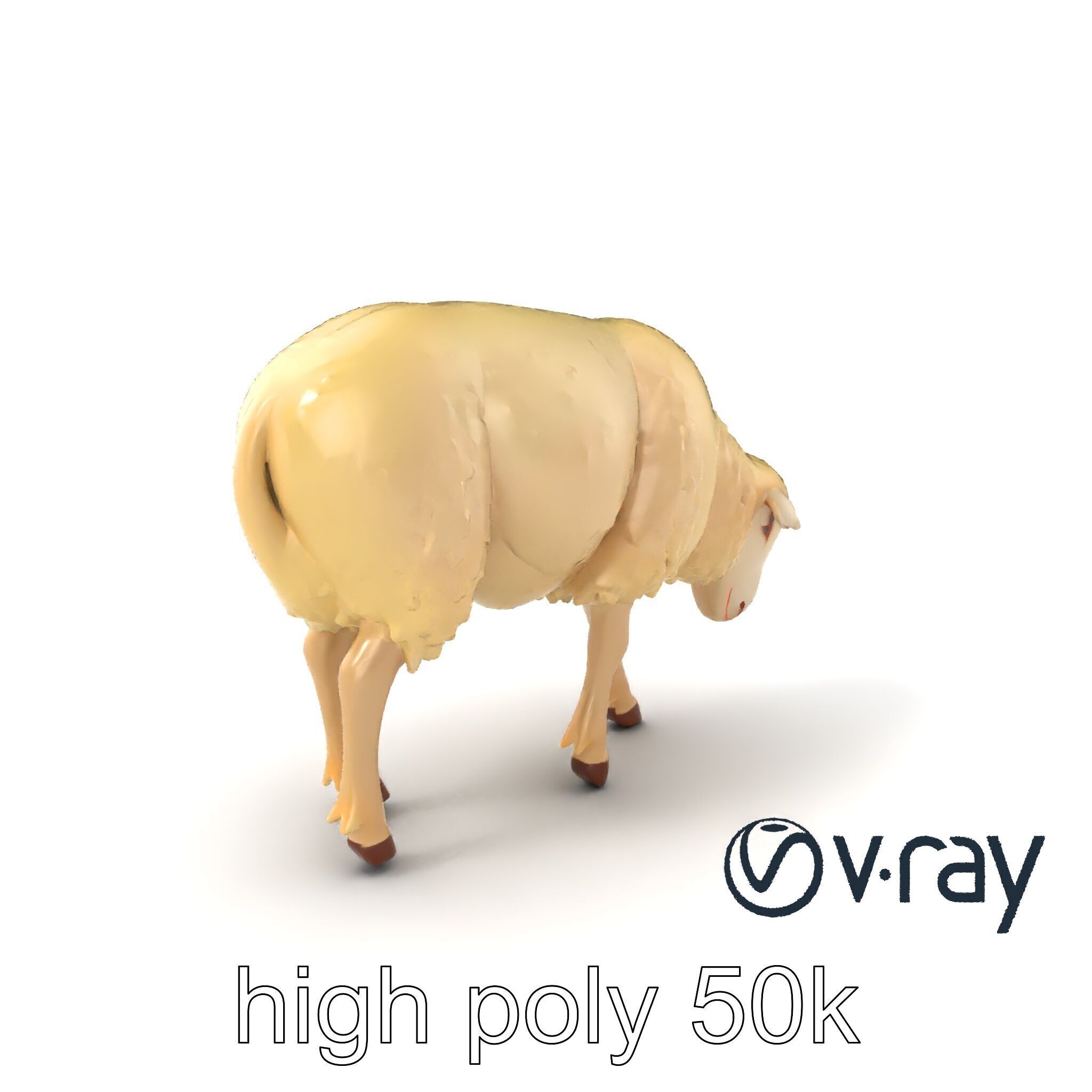 Pastoral Sheep Fluffy Grazing Stance model pack Low-poly 3D model_37