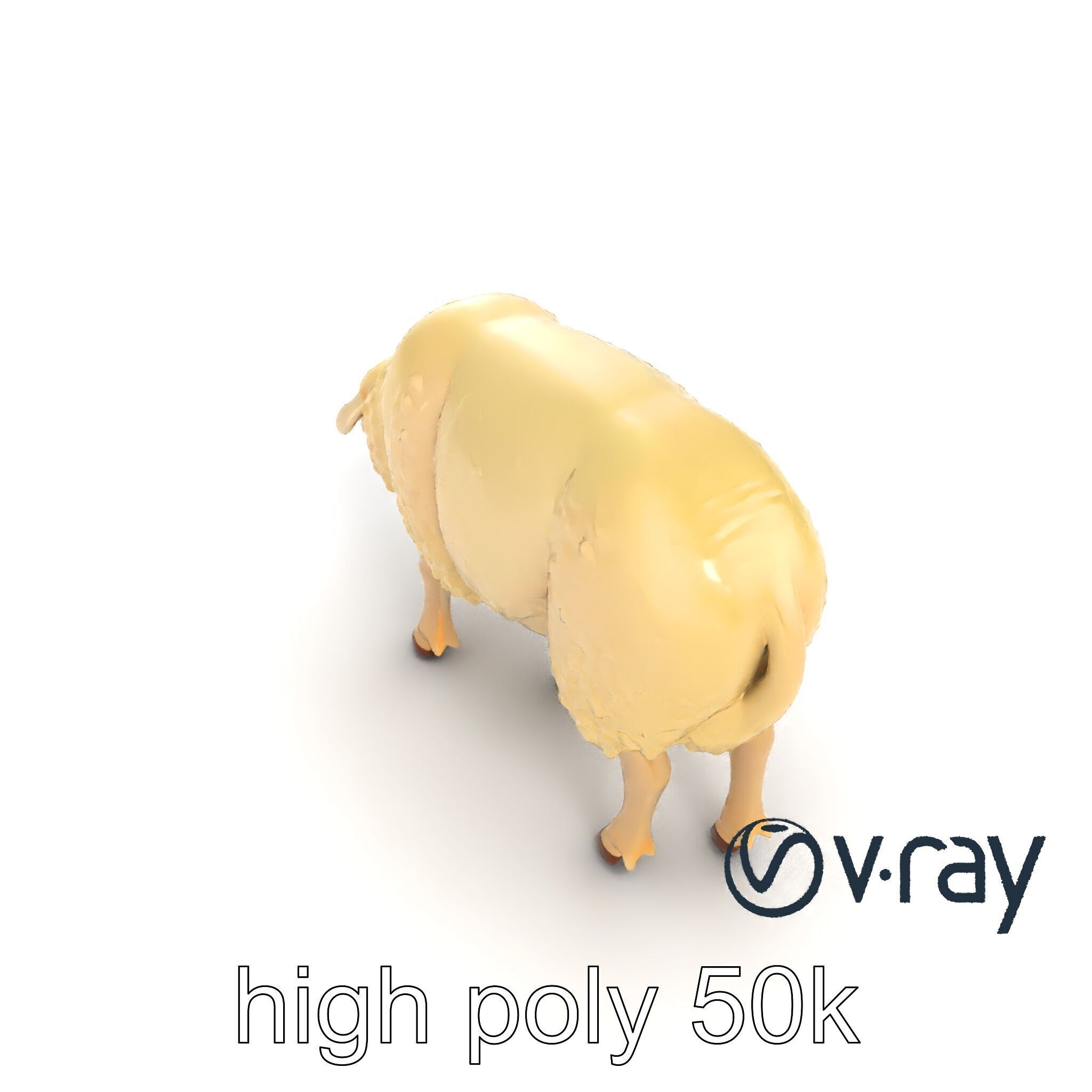 Pastoral Sheep Fluffy Grazing Stance model pack Low-poly 3D model_44