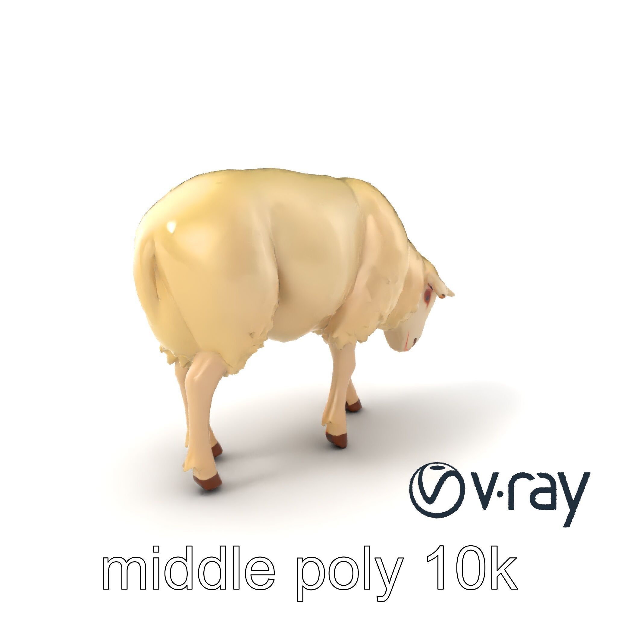 Pastoral Sheep Fluffy Grazing Stance model pack Low-poly 3D model_32