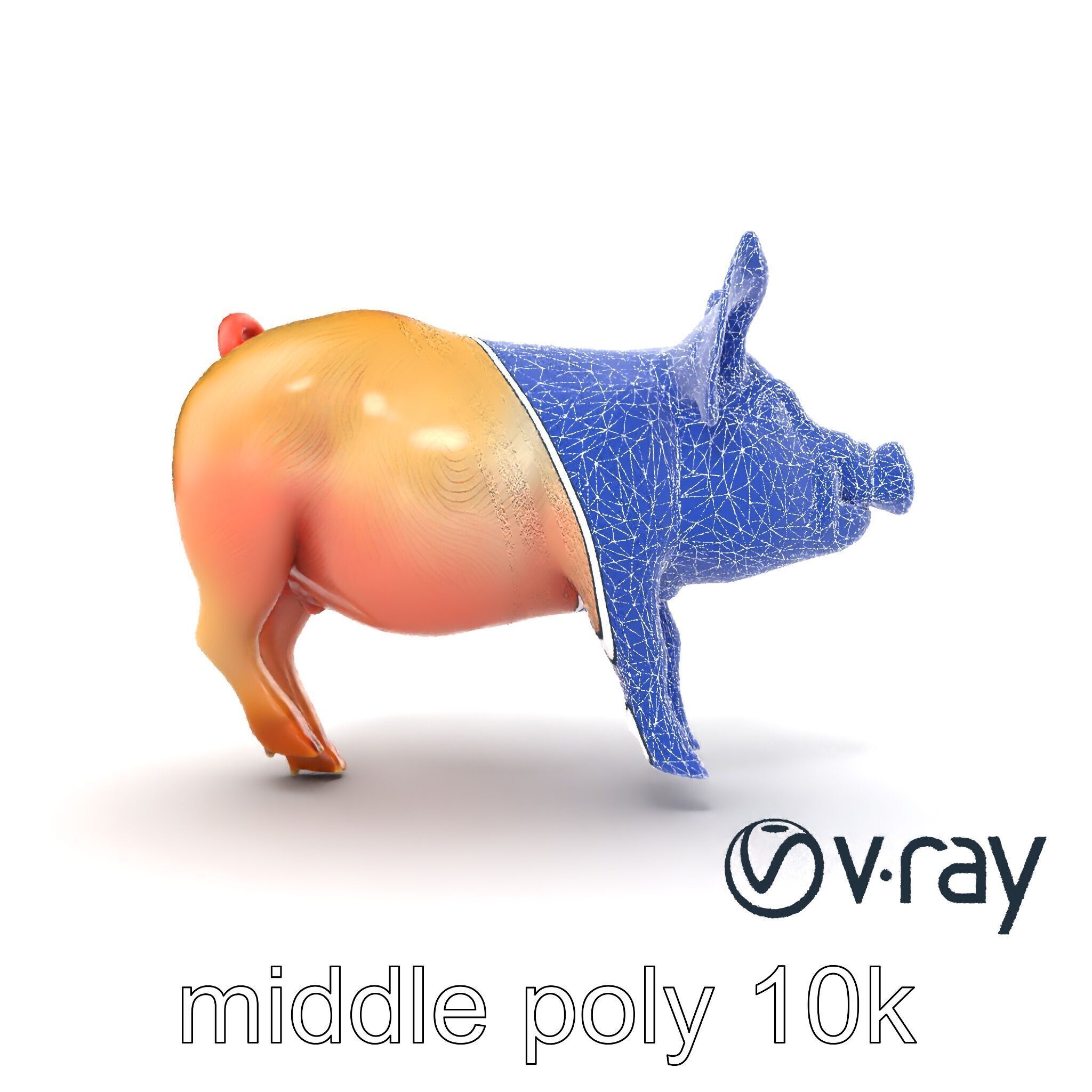 Pastoral Sheep Fluffy Grazing Stance model pack Low-poly 3D model_27