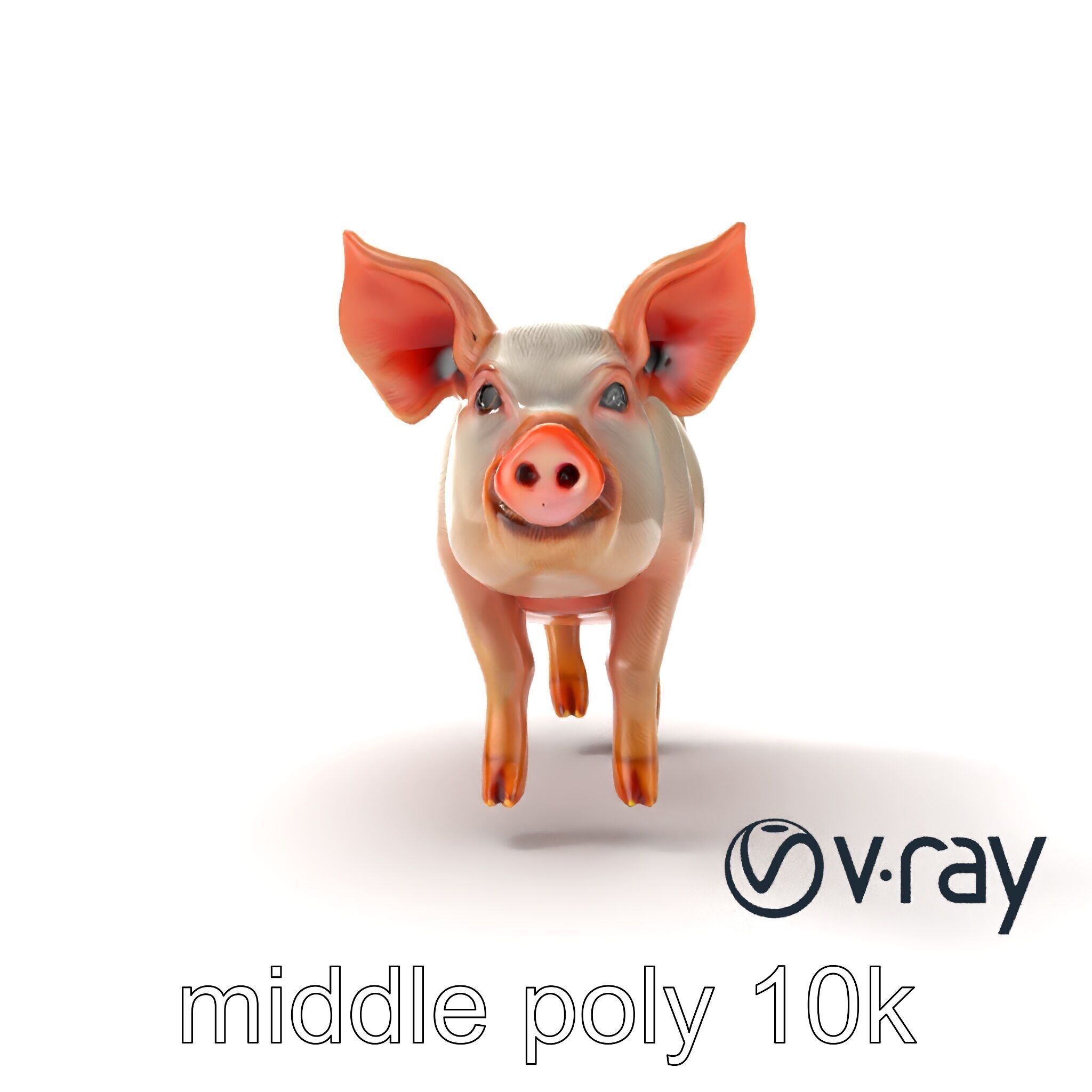 Pastoral Sheep Fluffy Grazing Stance model pack Low-poly 3D model_20