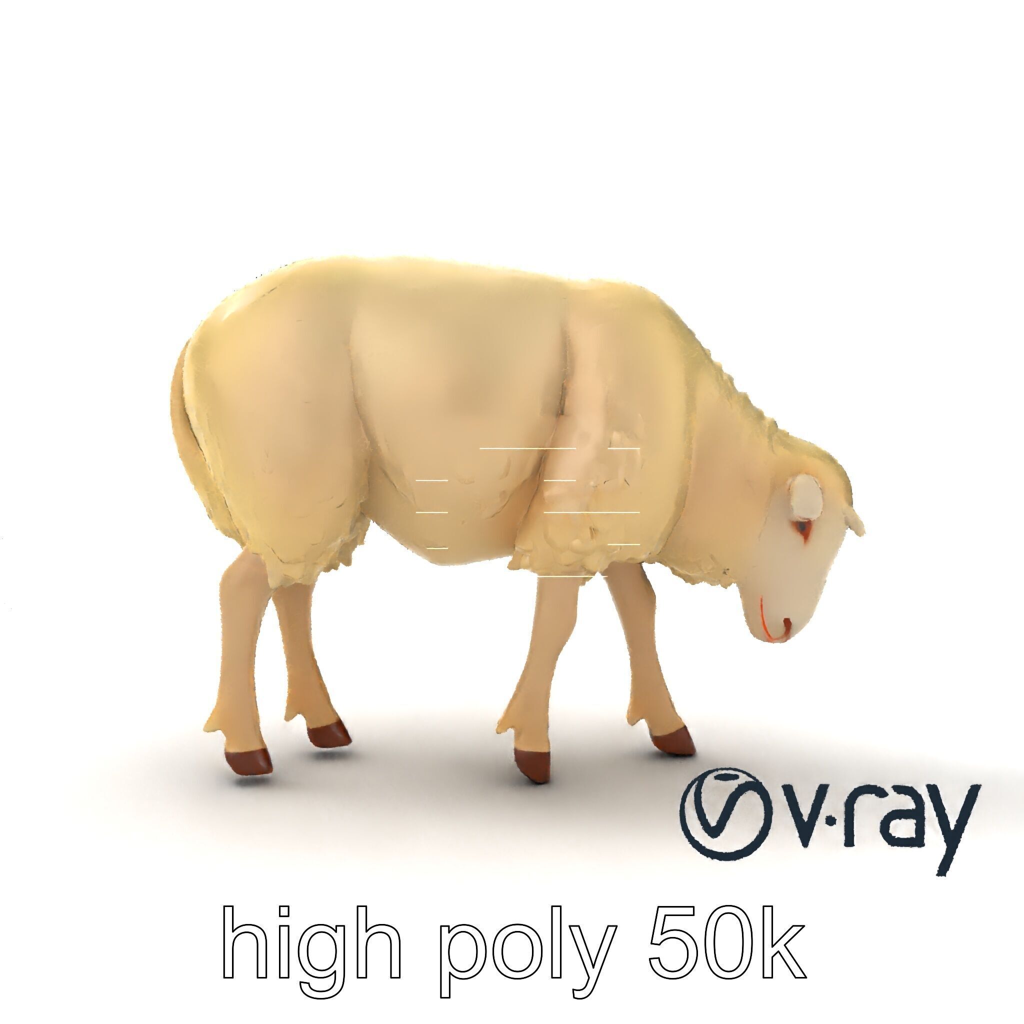 Pastoral Sheep Fluffy Grazing Stance model pack Low-poly 3D model_42