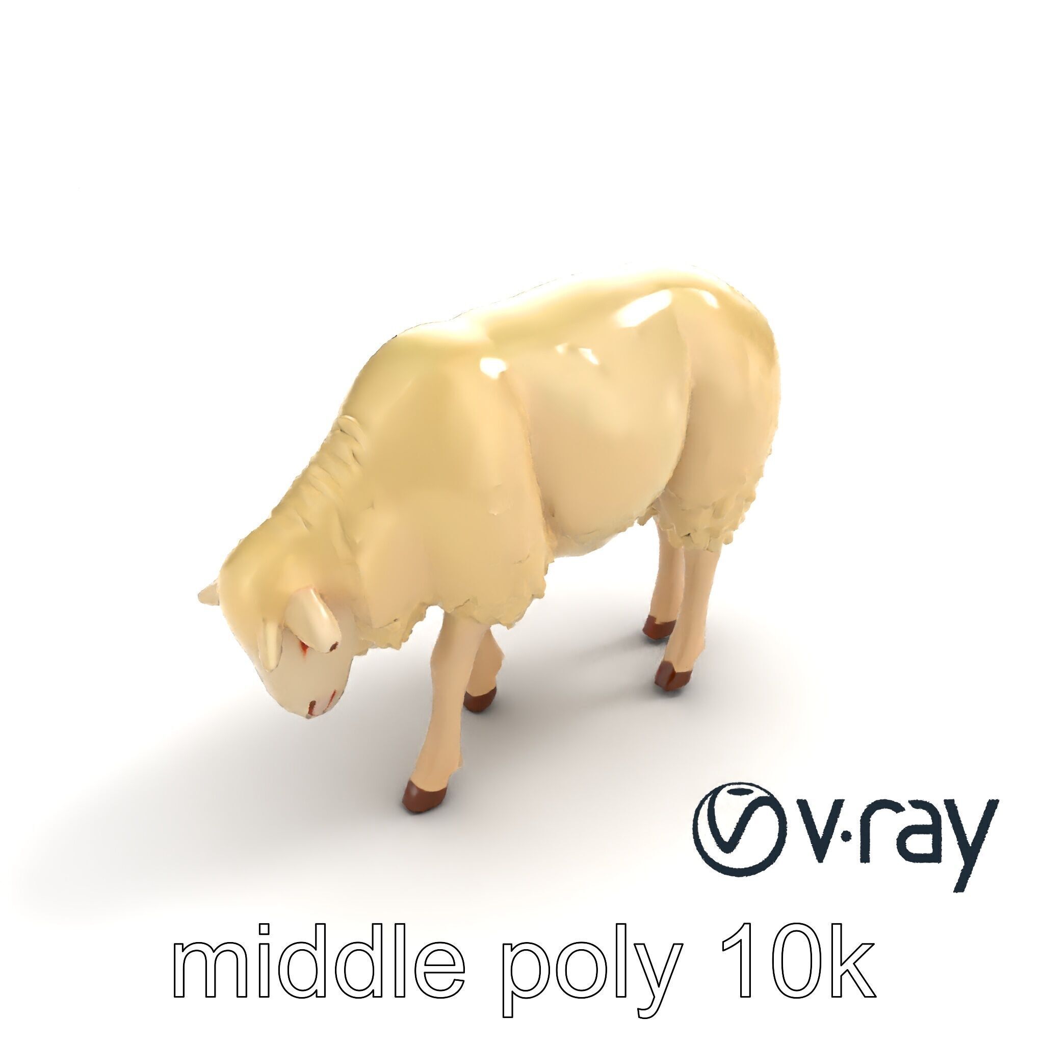 Pastoral Sheep Fluffy Grazing Stance model pack Low-poly 3D model_38