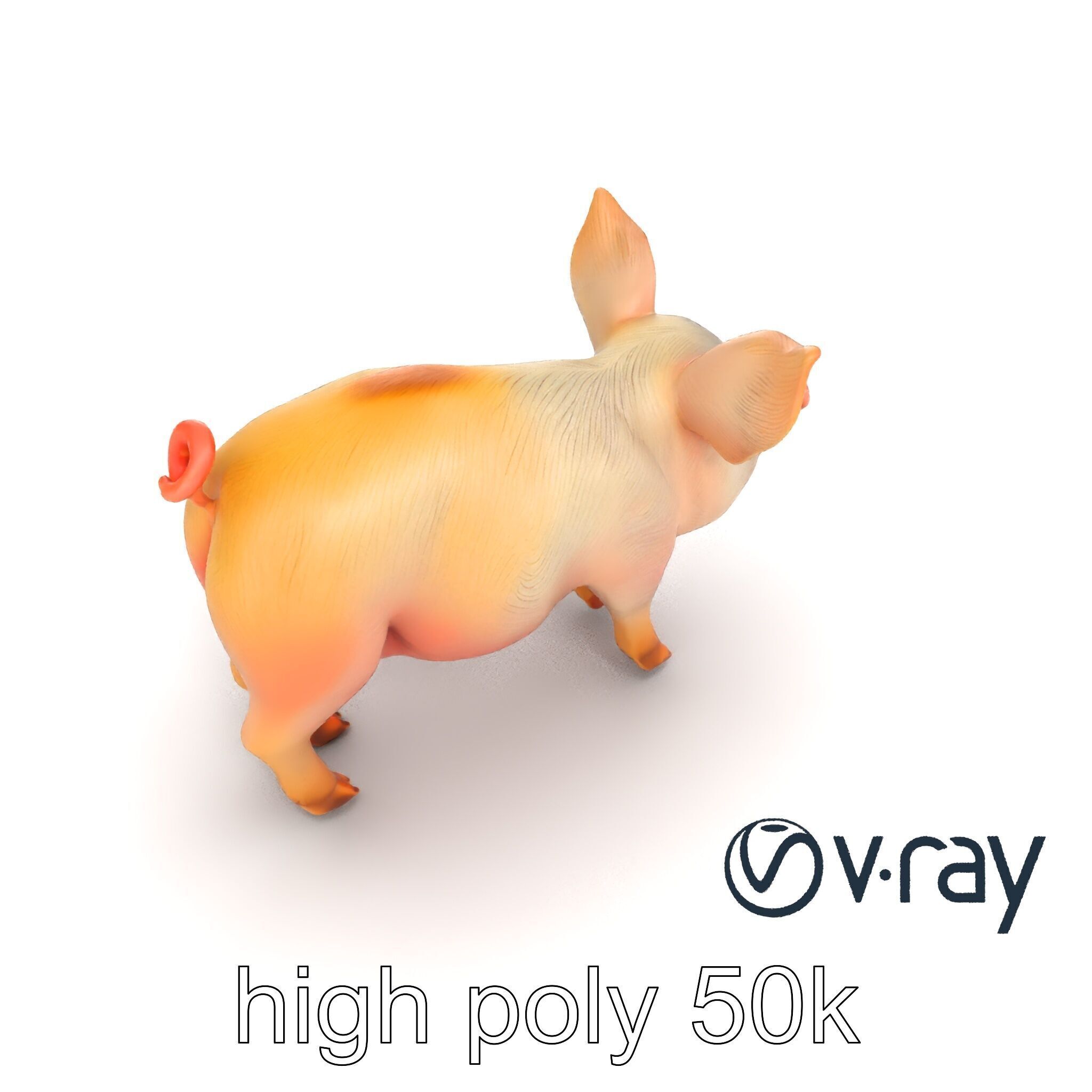 Pastoral Sheep Fluffy Grazing Stance model pack Low-poly 3D model_13