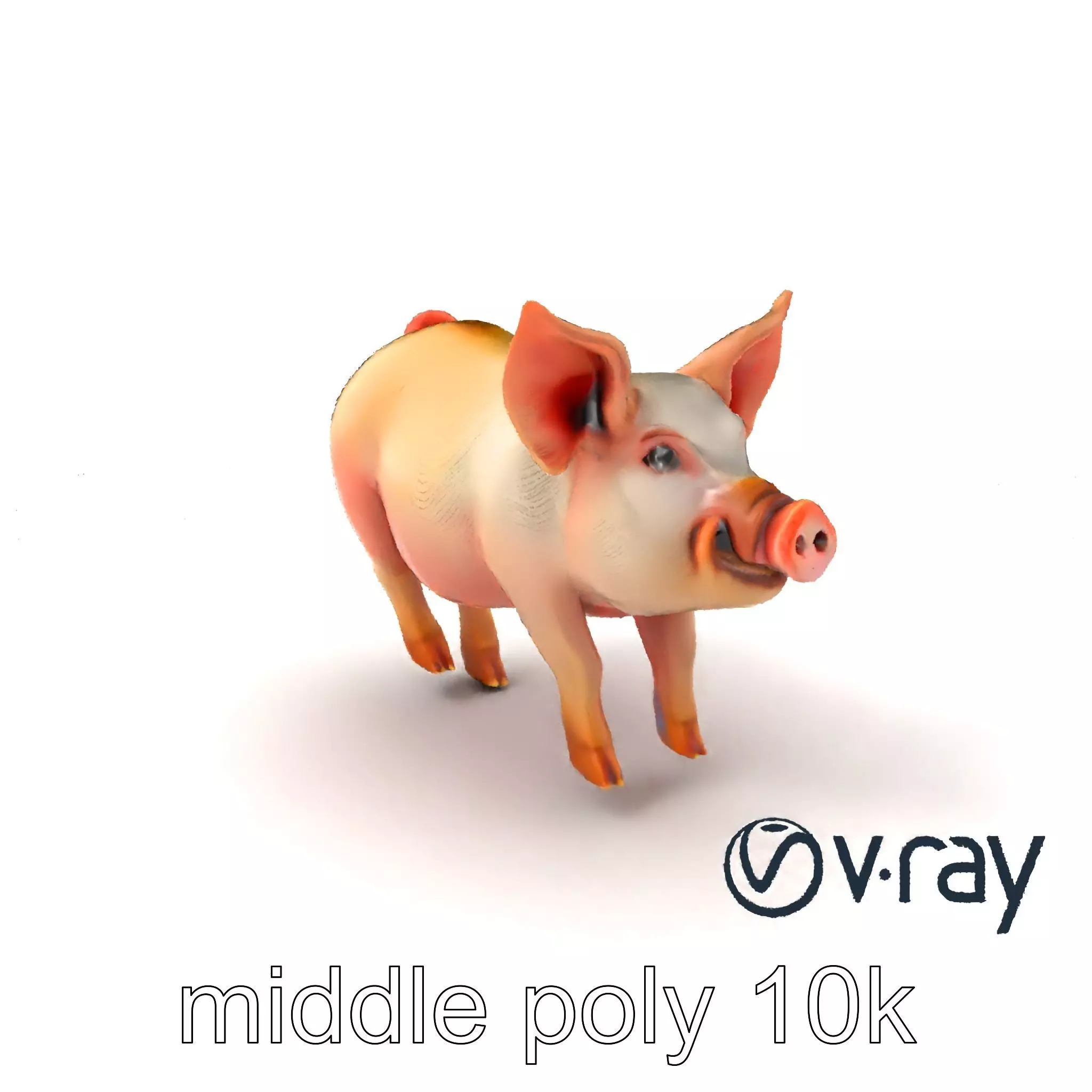 Pastoral Sheep Fluffy Grazing Stance model pack Low-poly 3D model_0