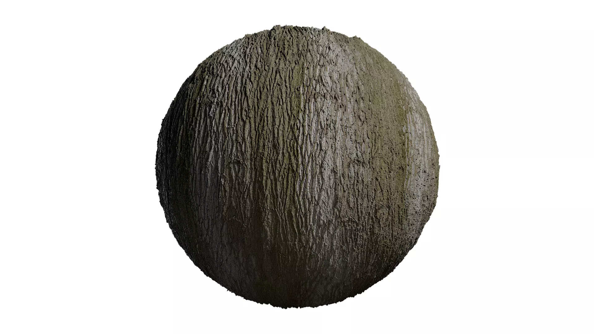 Anydrafts Populus x canadensis Bark 08 Texture