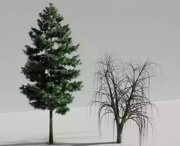 Realistic tree 3d model high poly 3D model
