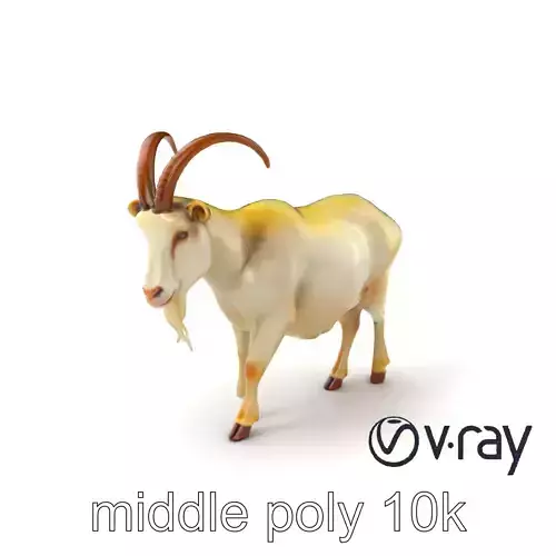 Mountain Goat 3D model pack