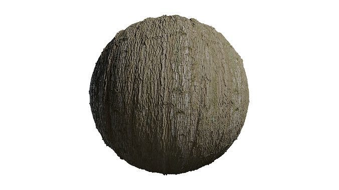 Anydrafts Populus x canadensis Bark 10 Texture