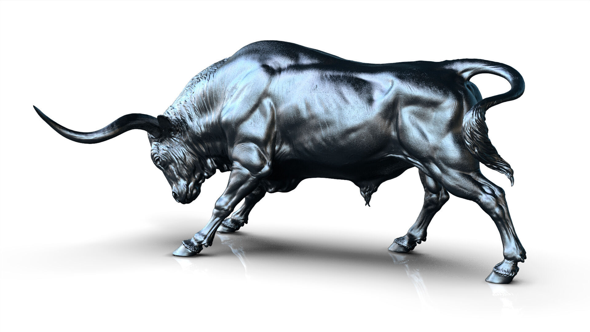 Bull - Texas Longhorn  I  3D Sculpting 3D print model_13